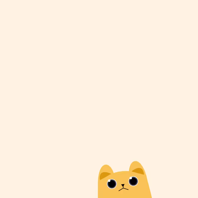 Where is the cat? #13