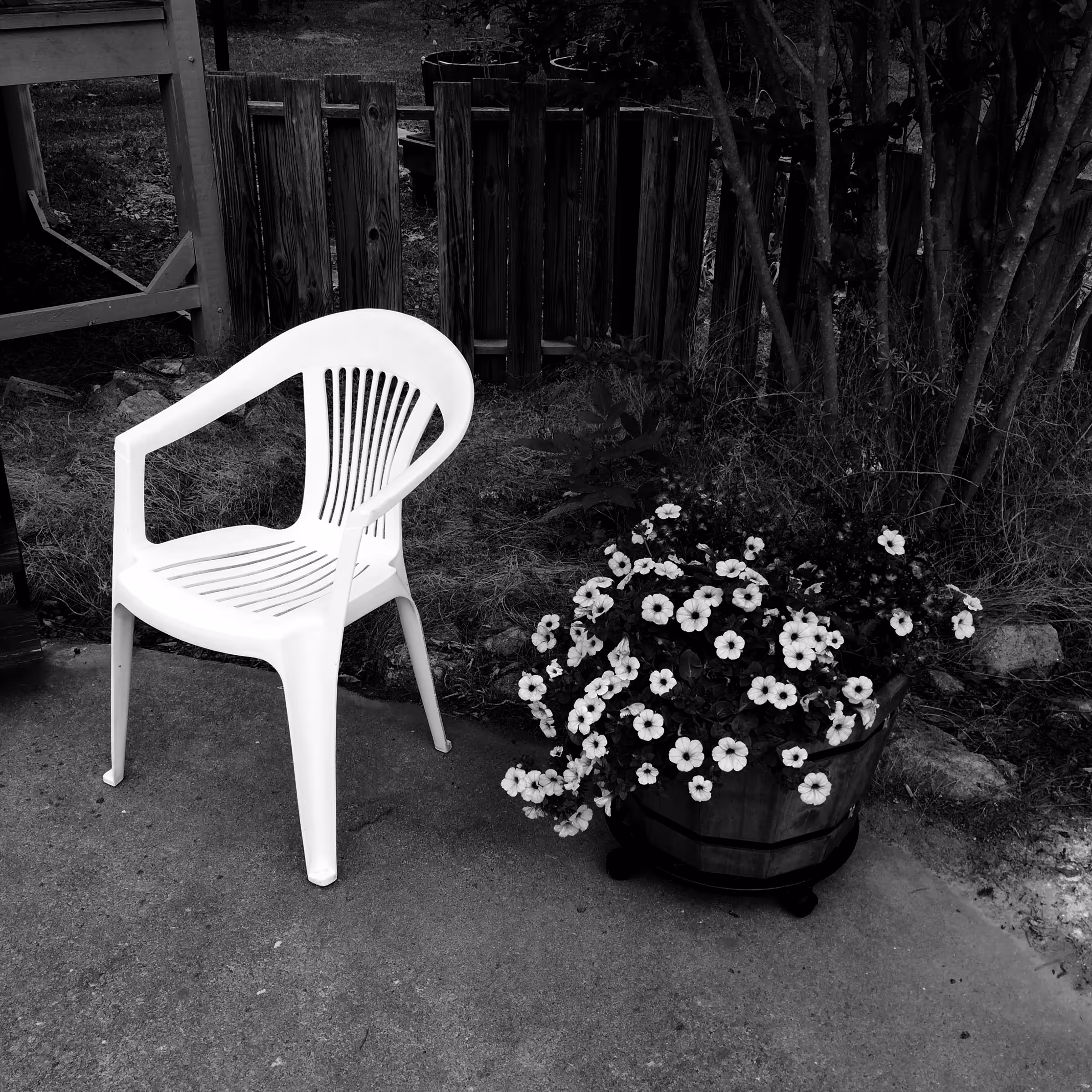 Untitled (Carlton, Georgia, 2015)