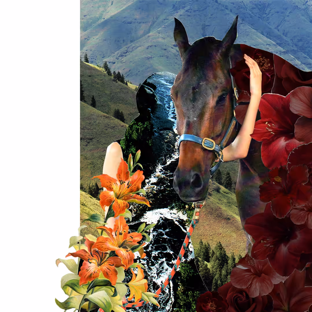The Horses