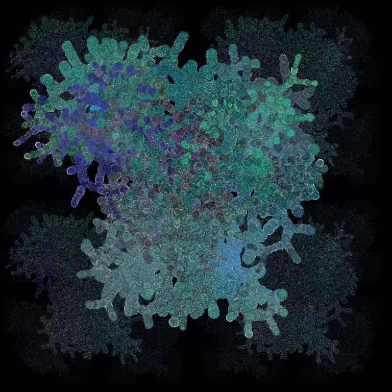 Corals of the sea #2