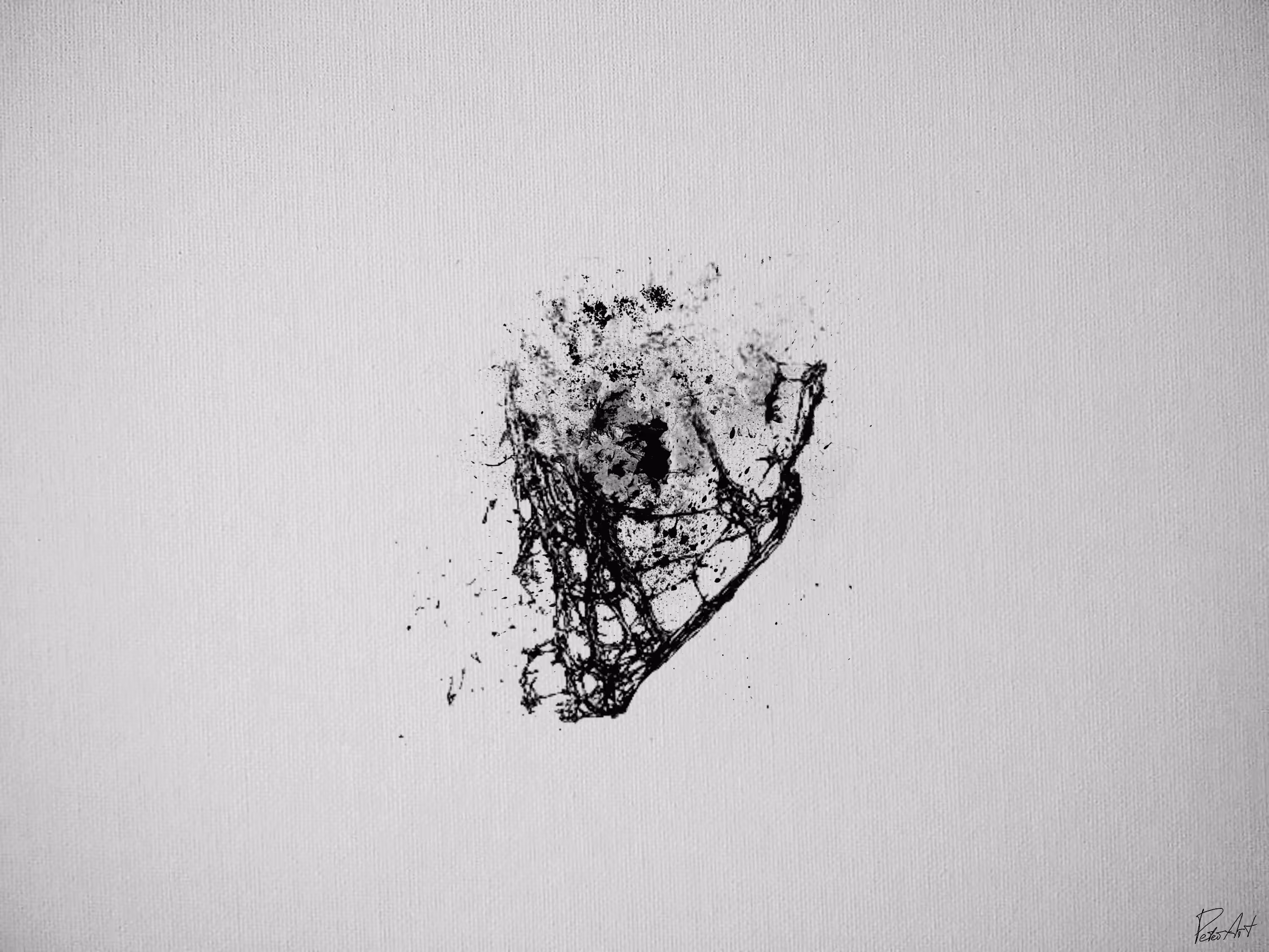 Pandora's box