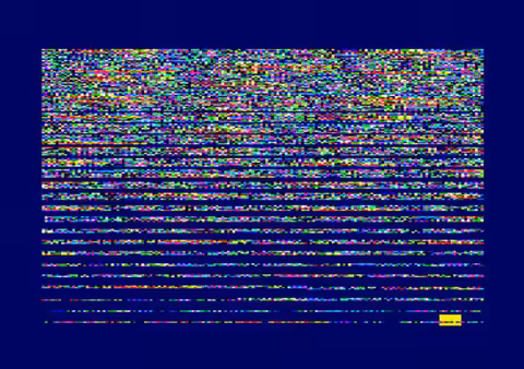 CPC - Typing 🌈 Rainbows