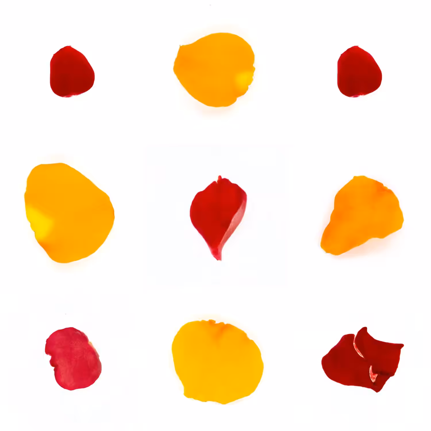 Infinite Petals 3x3#956