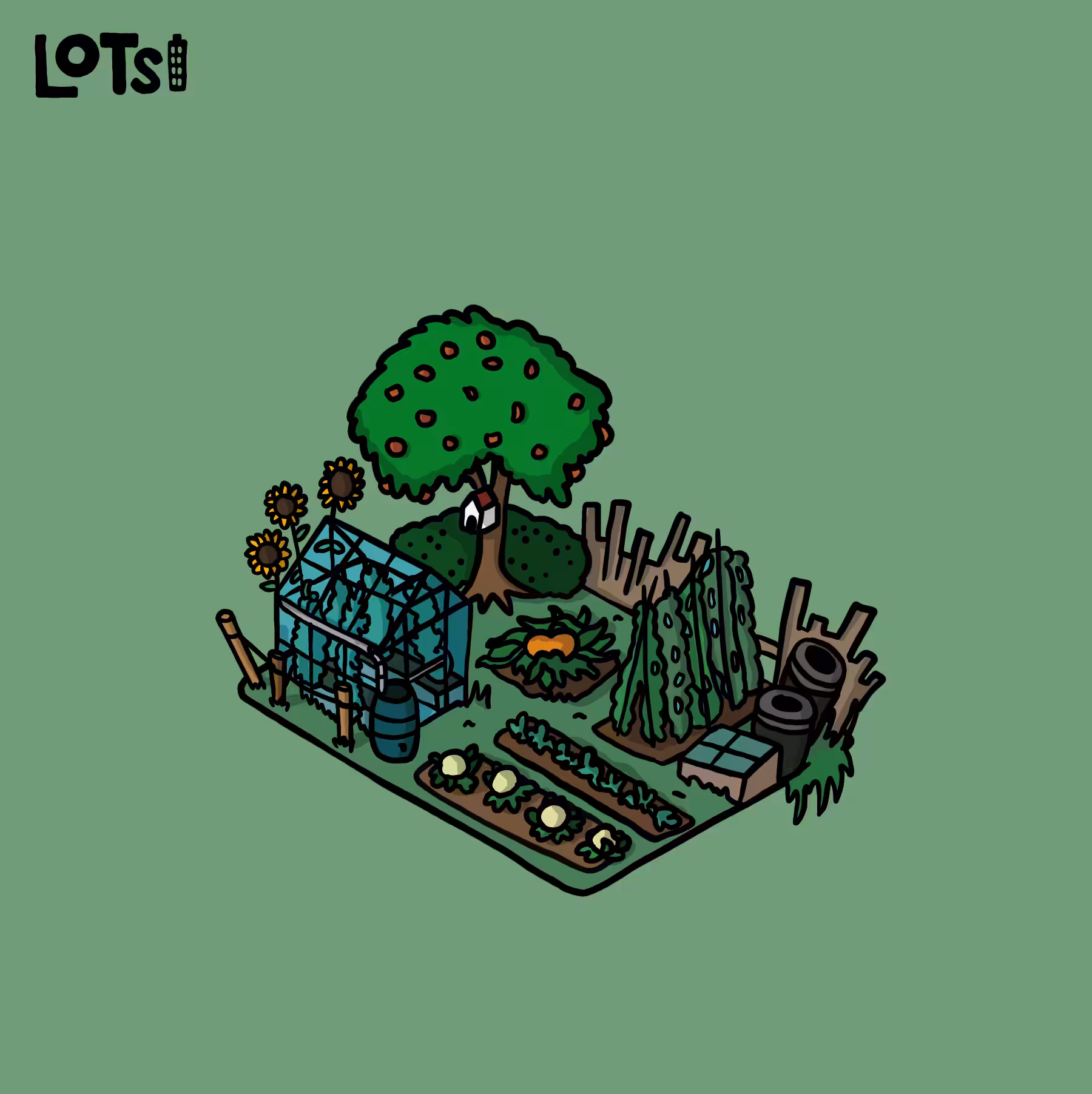 Lot 24