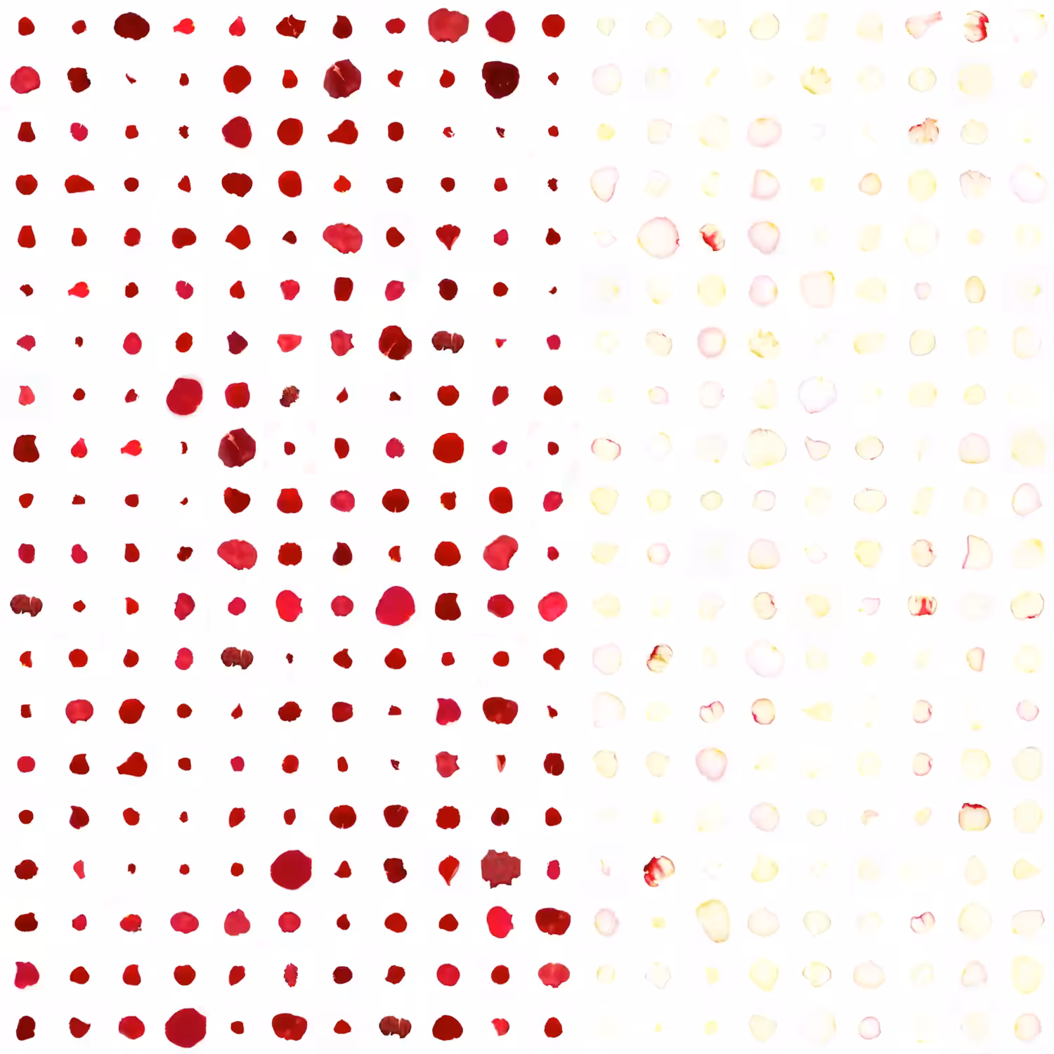 Infinite Petals 20x20#28809