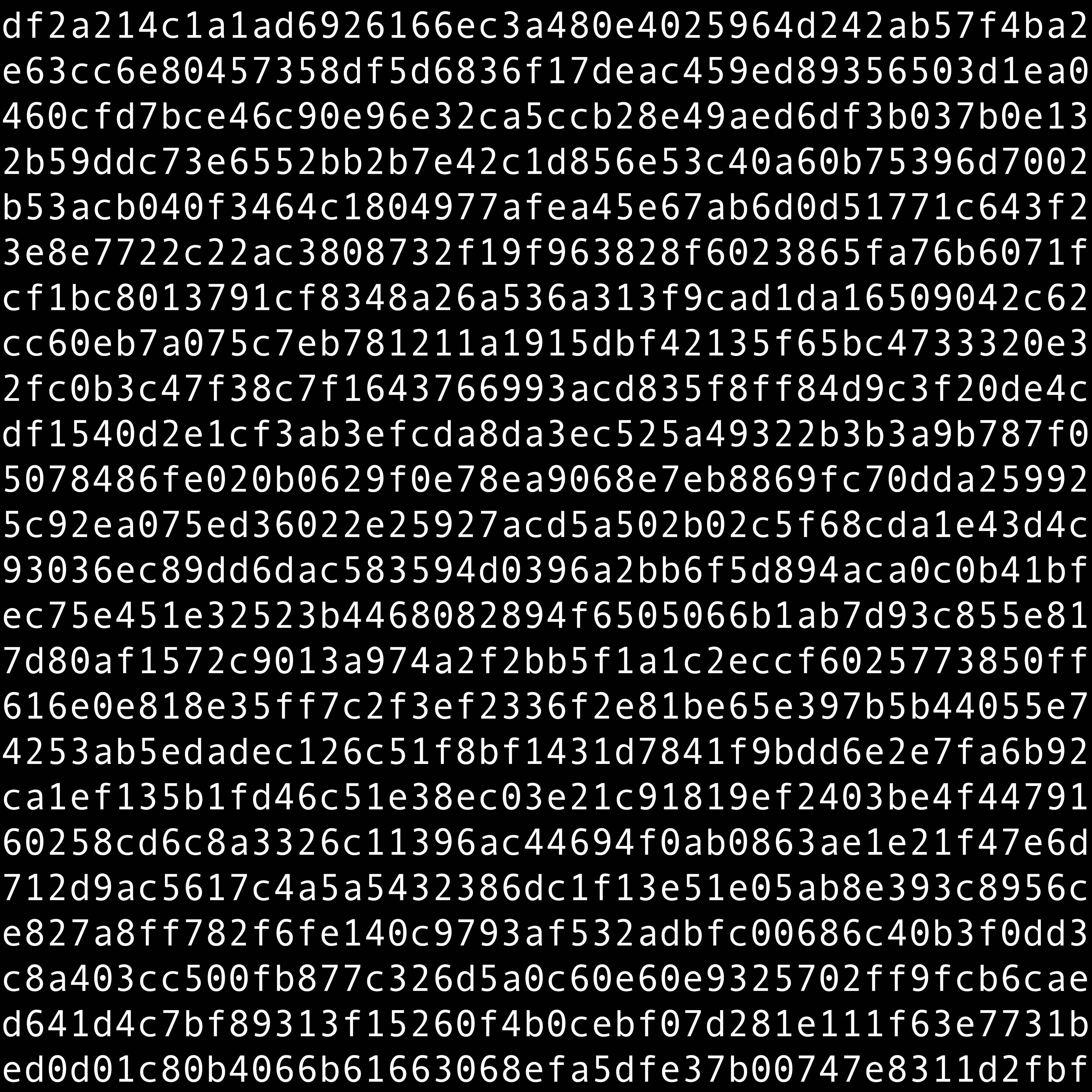 1111 #0795