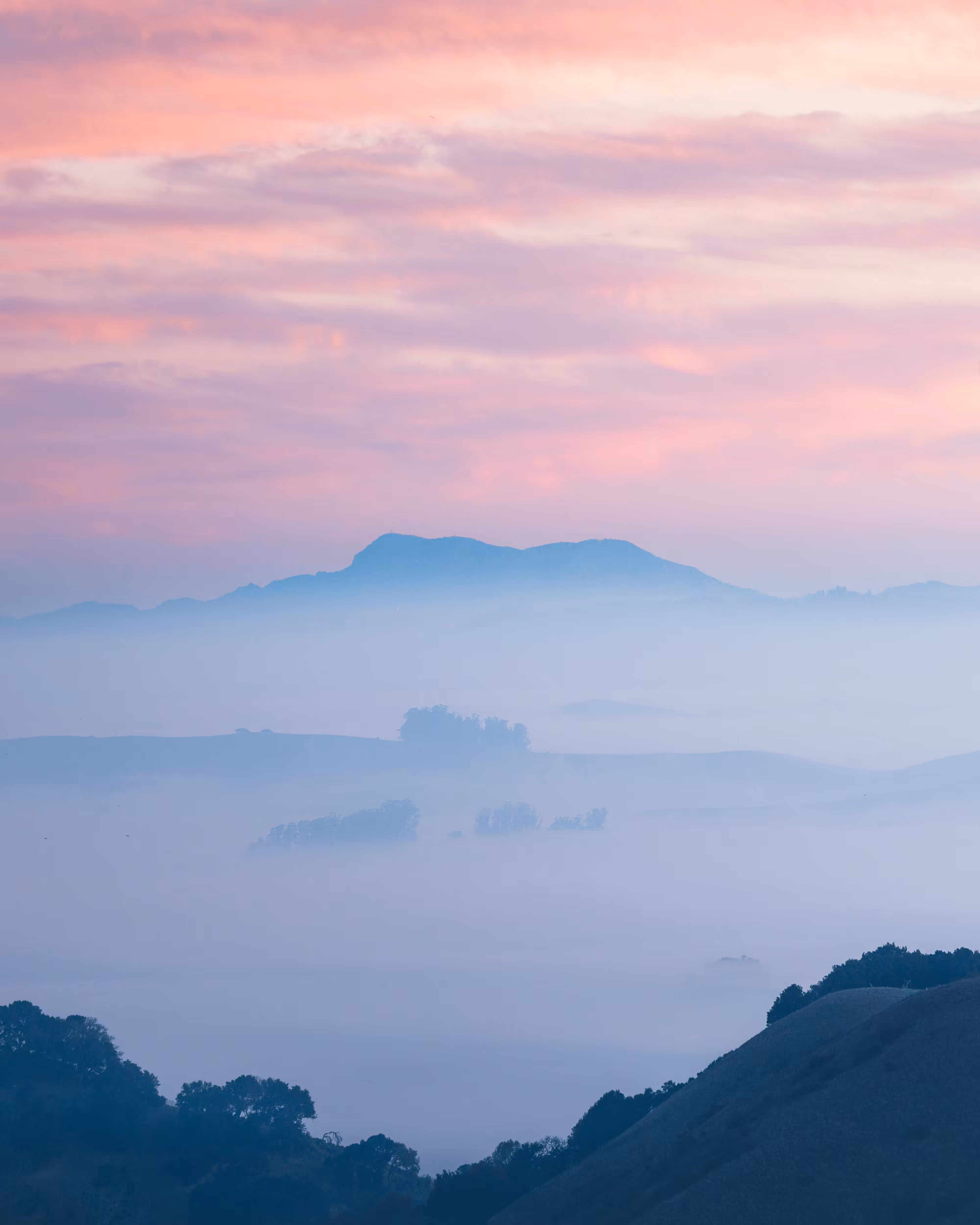 A Symphony of Fog #47