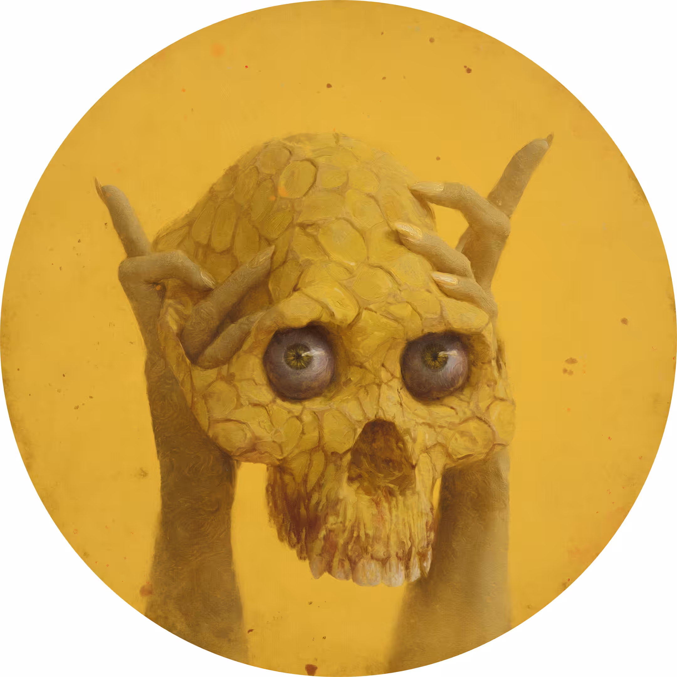 Sulfuric Fragments
