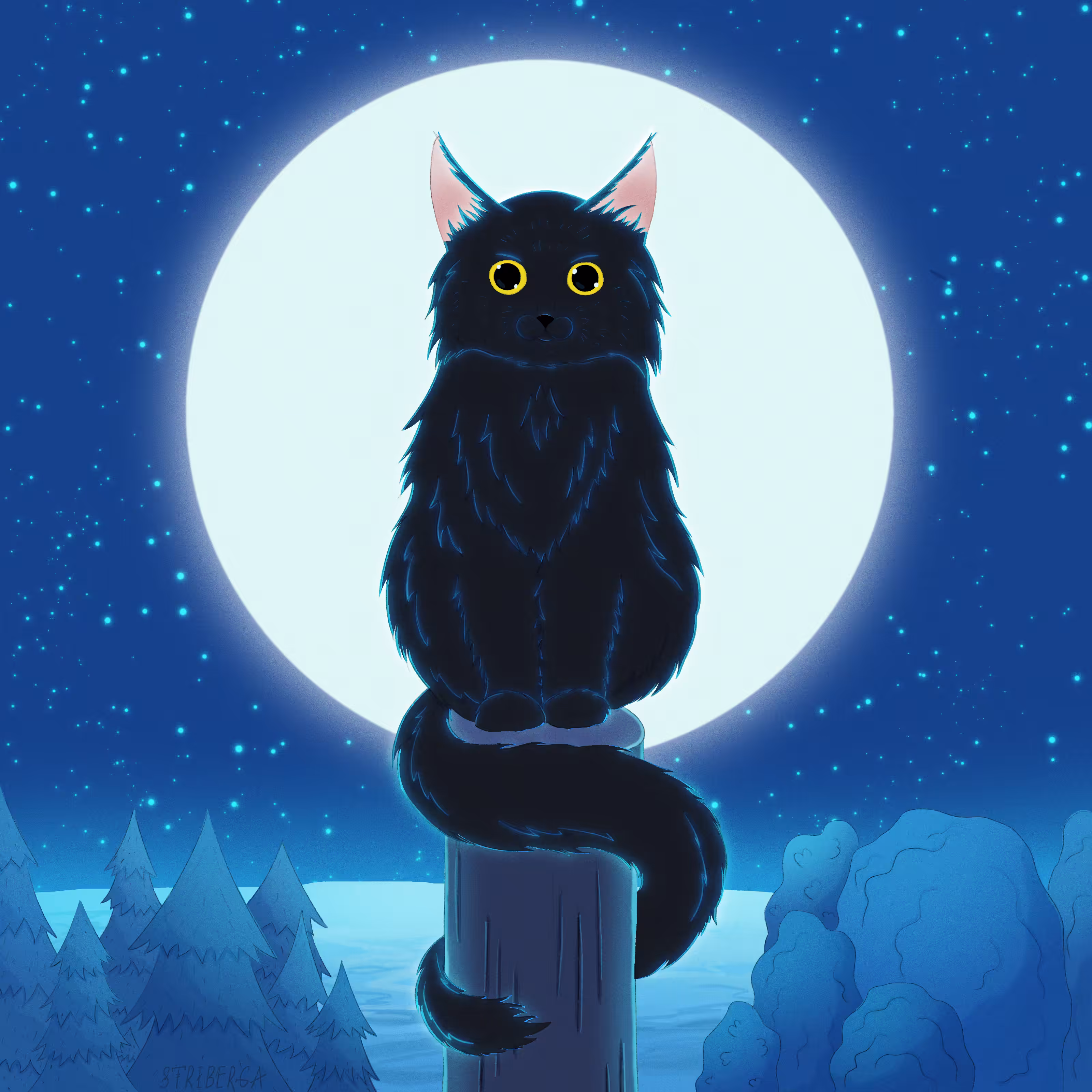 Bayun the cat
