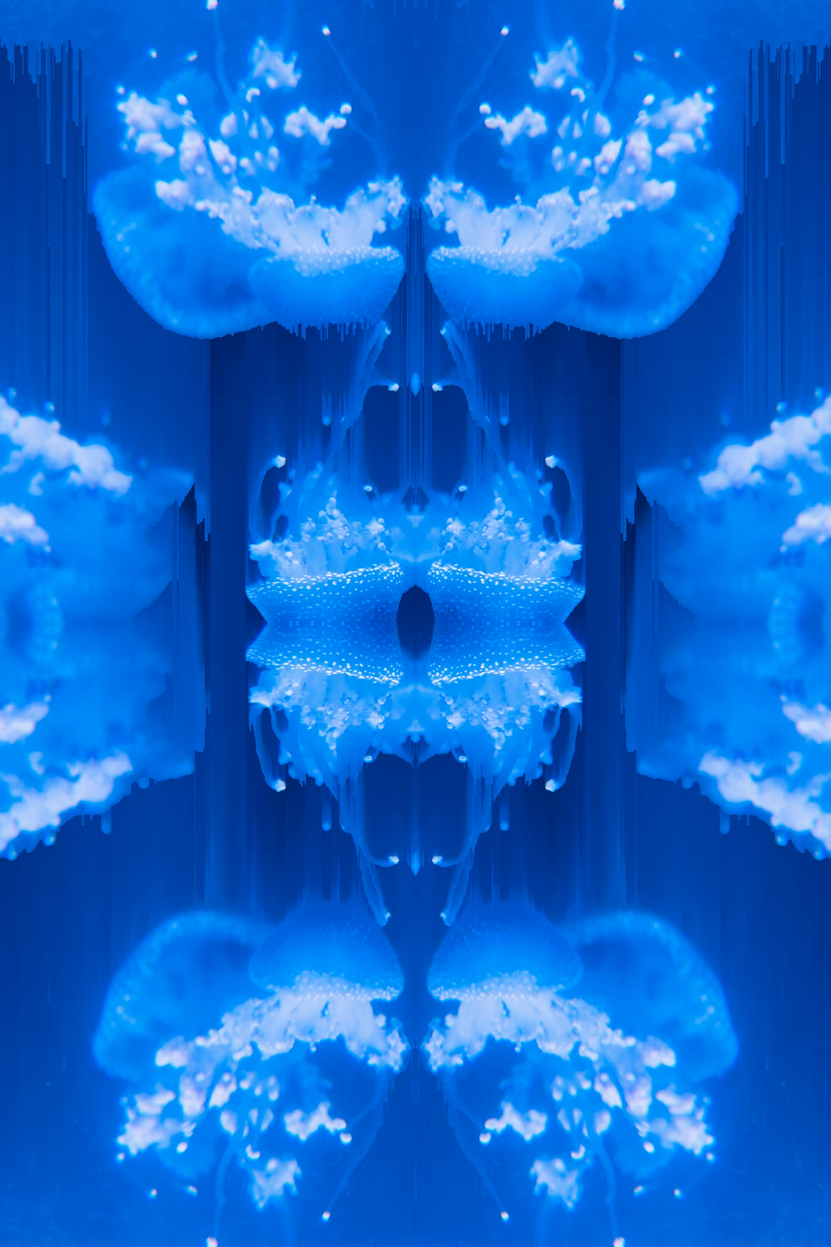 Jelly World