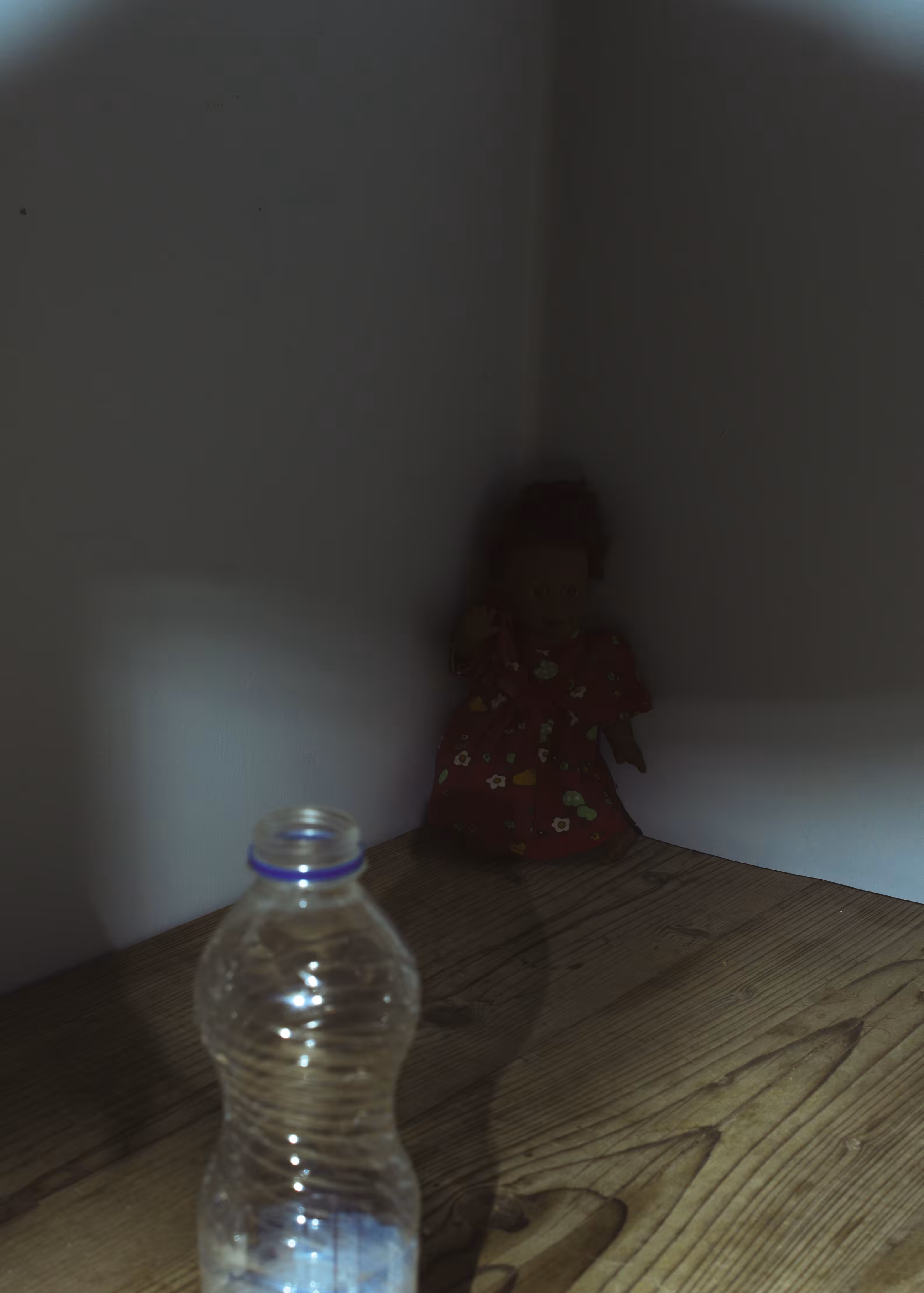 The dark shadow of fear