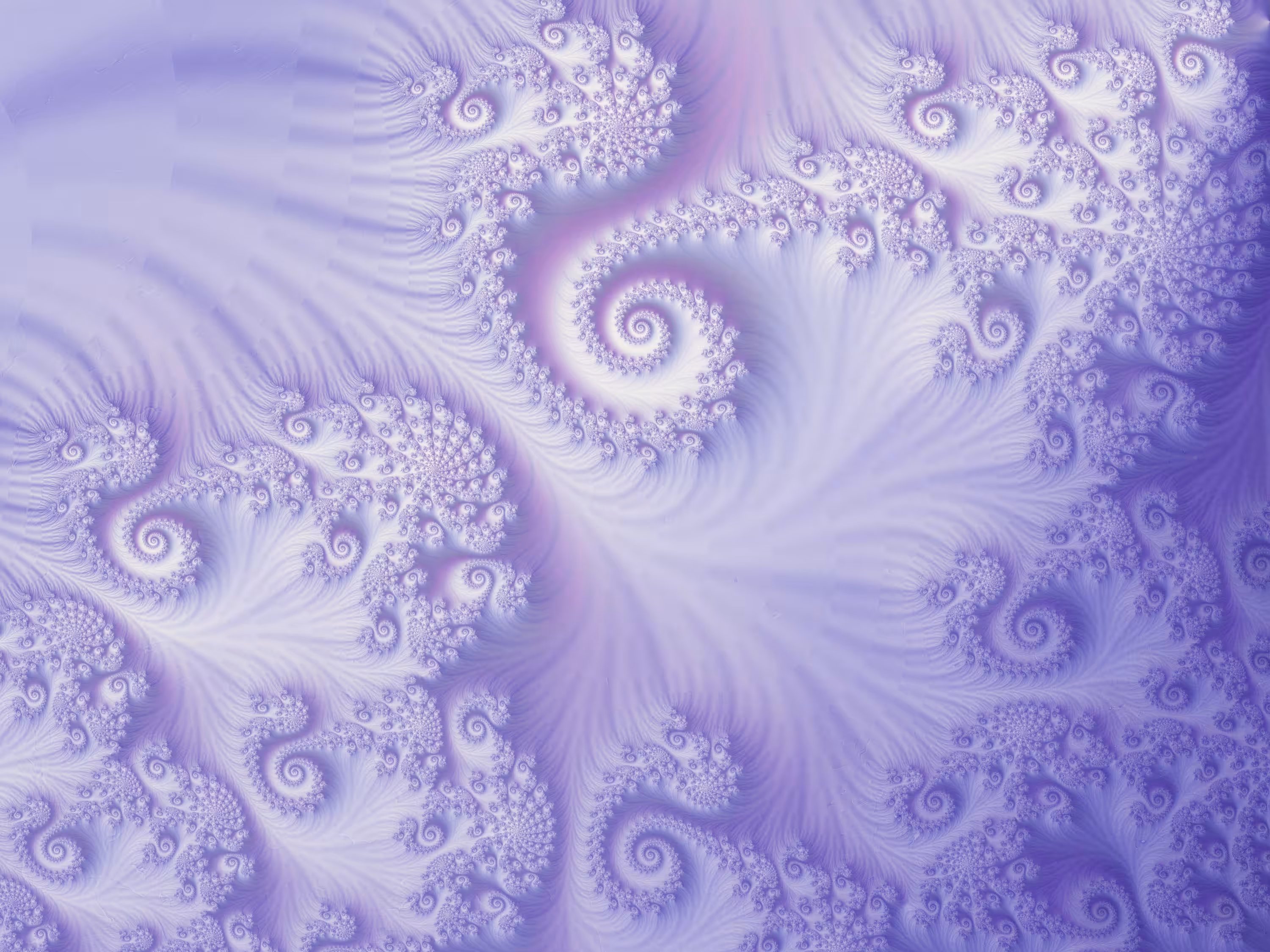 Purple spirals