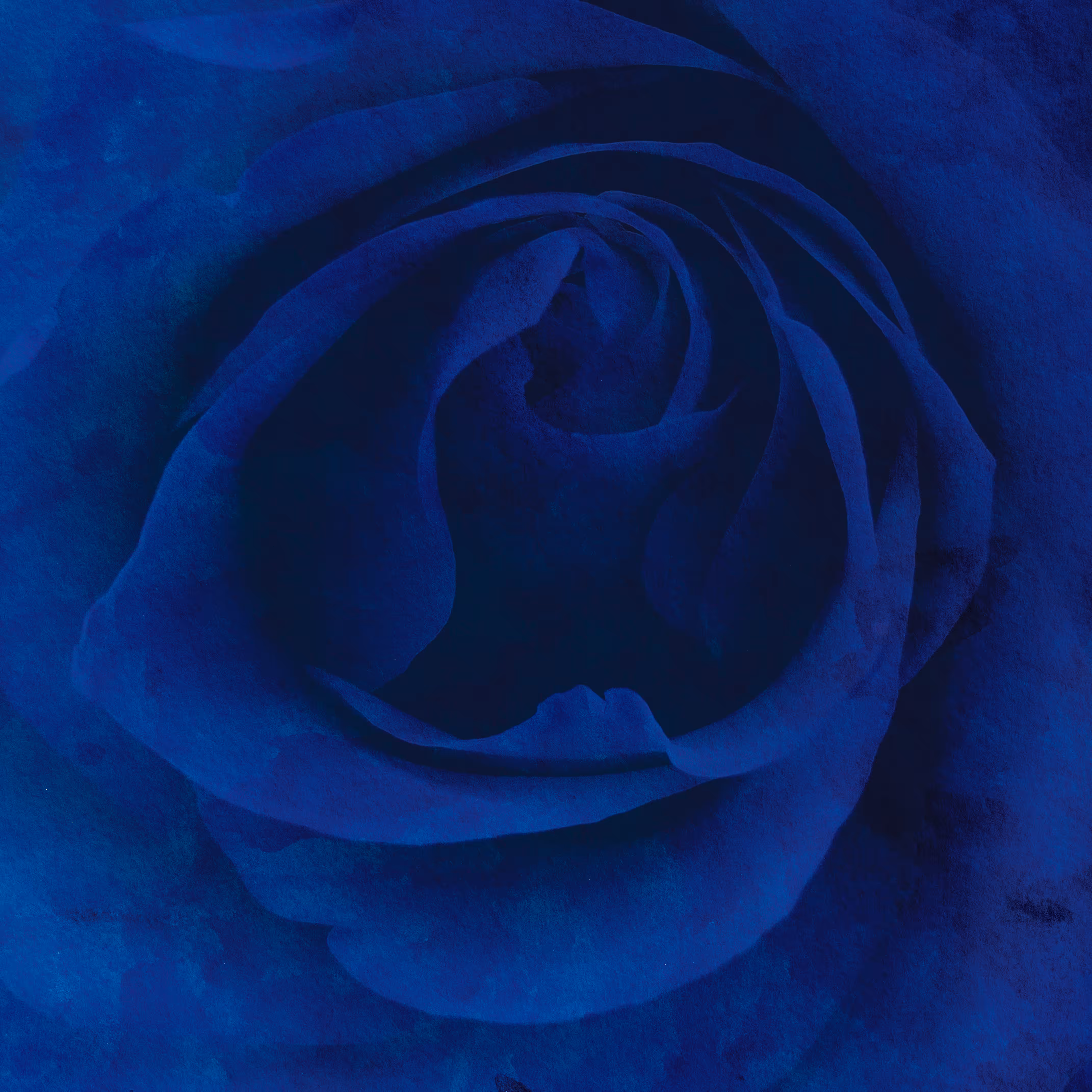Roses Are BLeU
