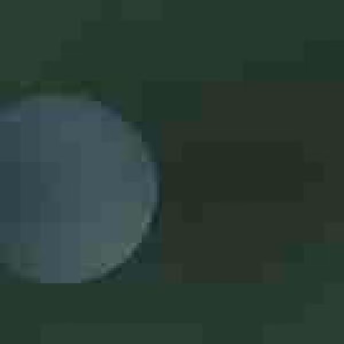 Orbit 116902973