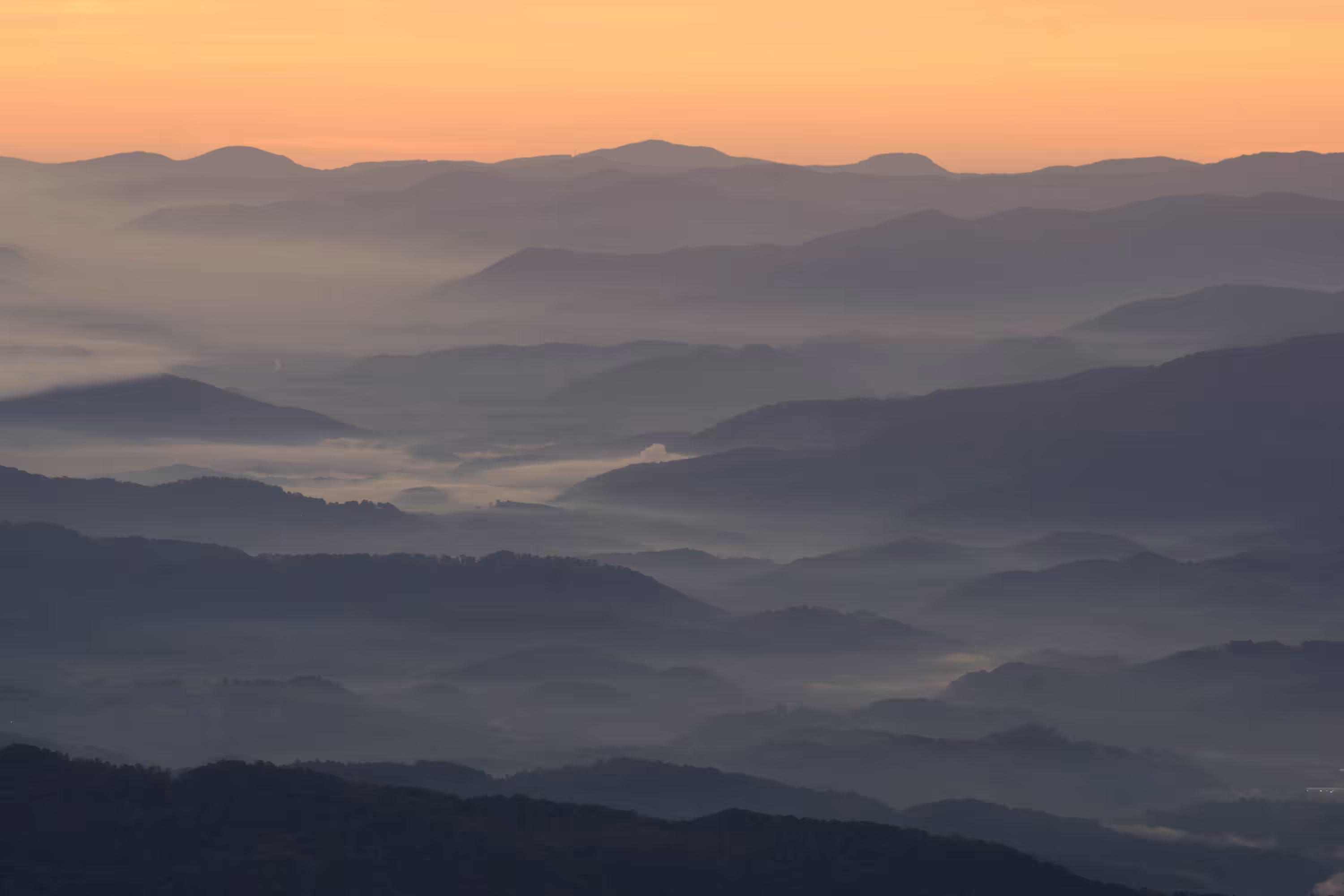 With Love From Appalachia #013