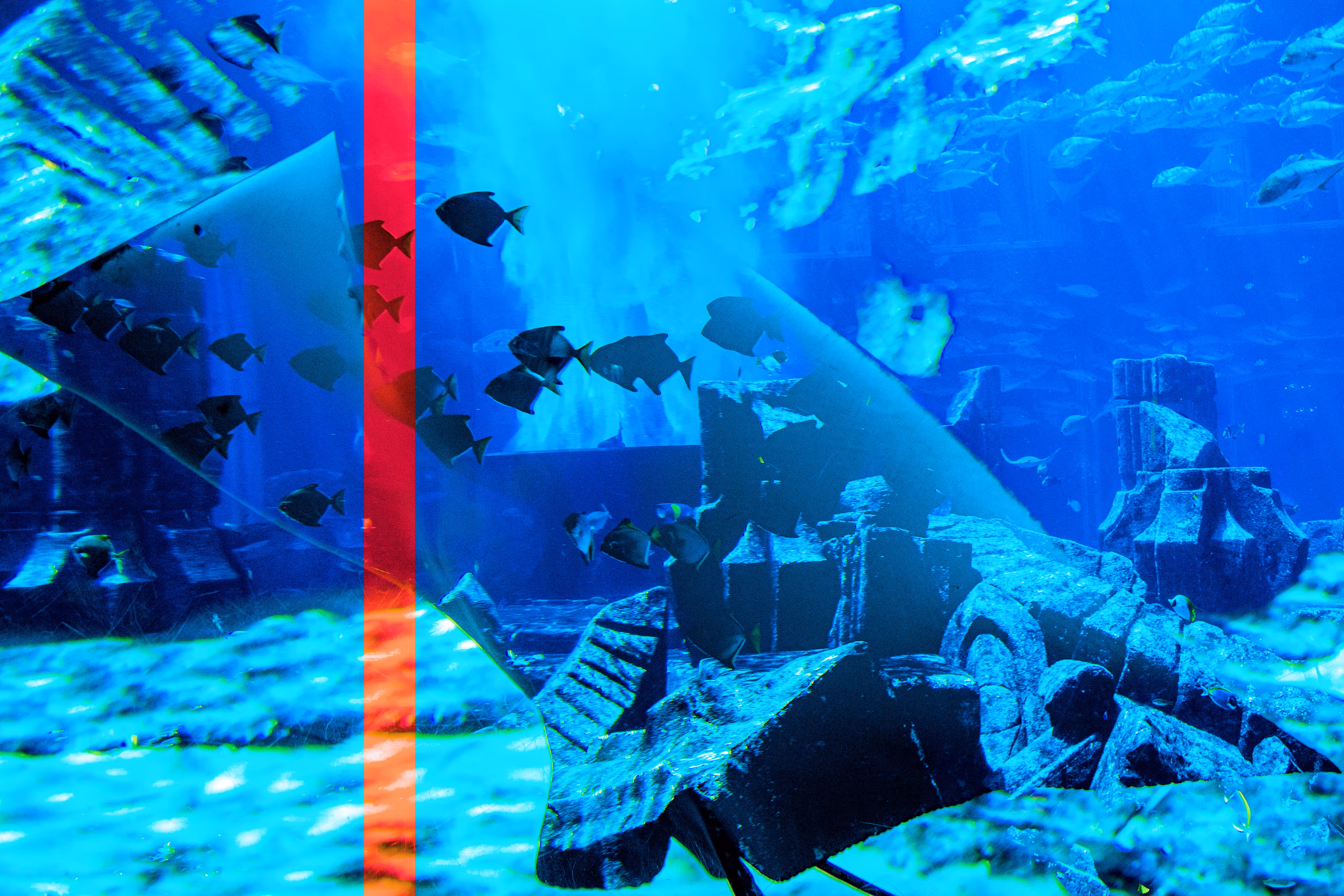 "Dive III"