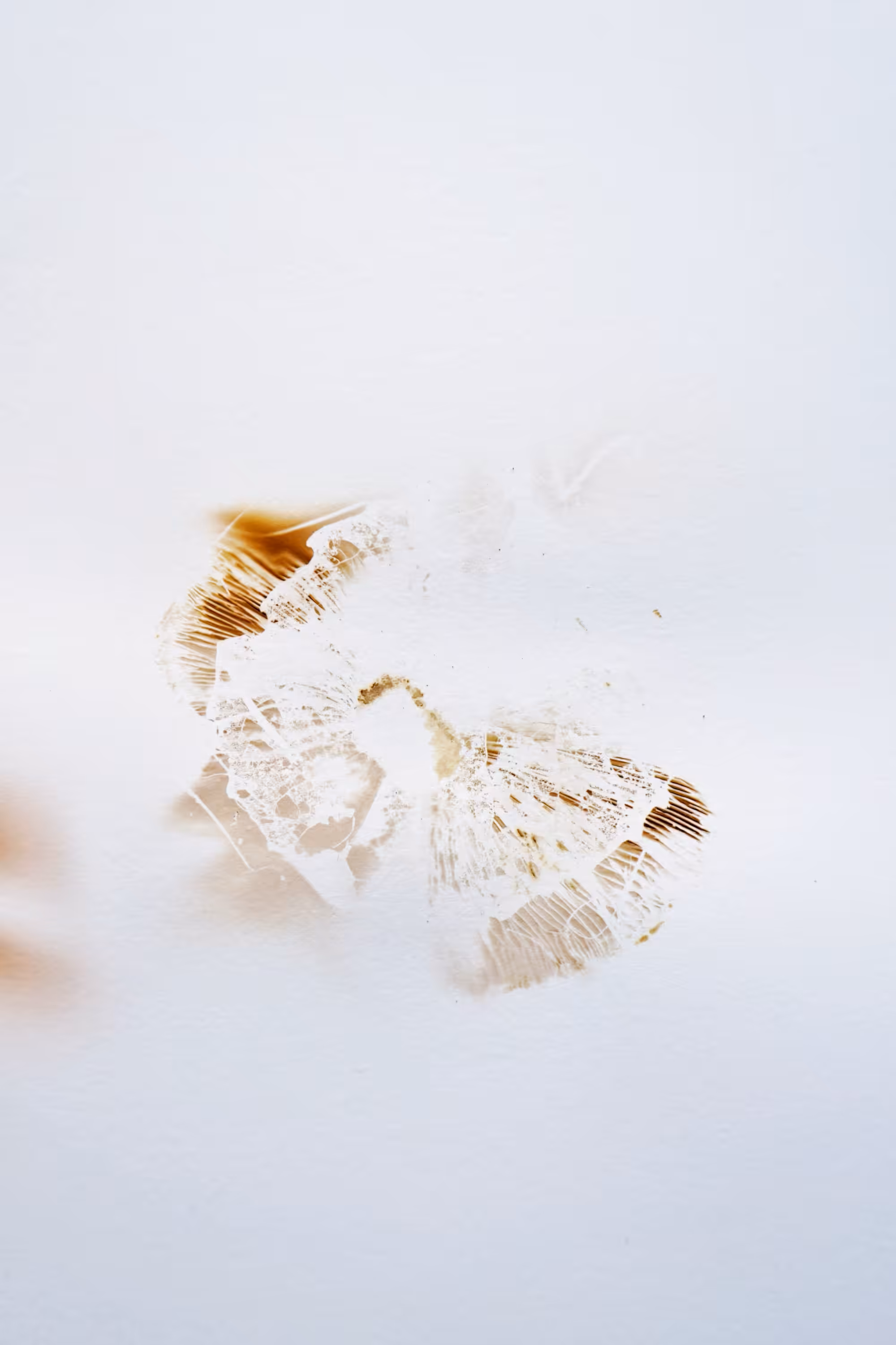 Fingerprints