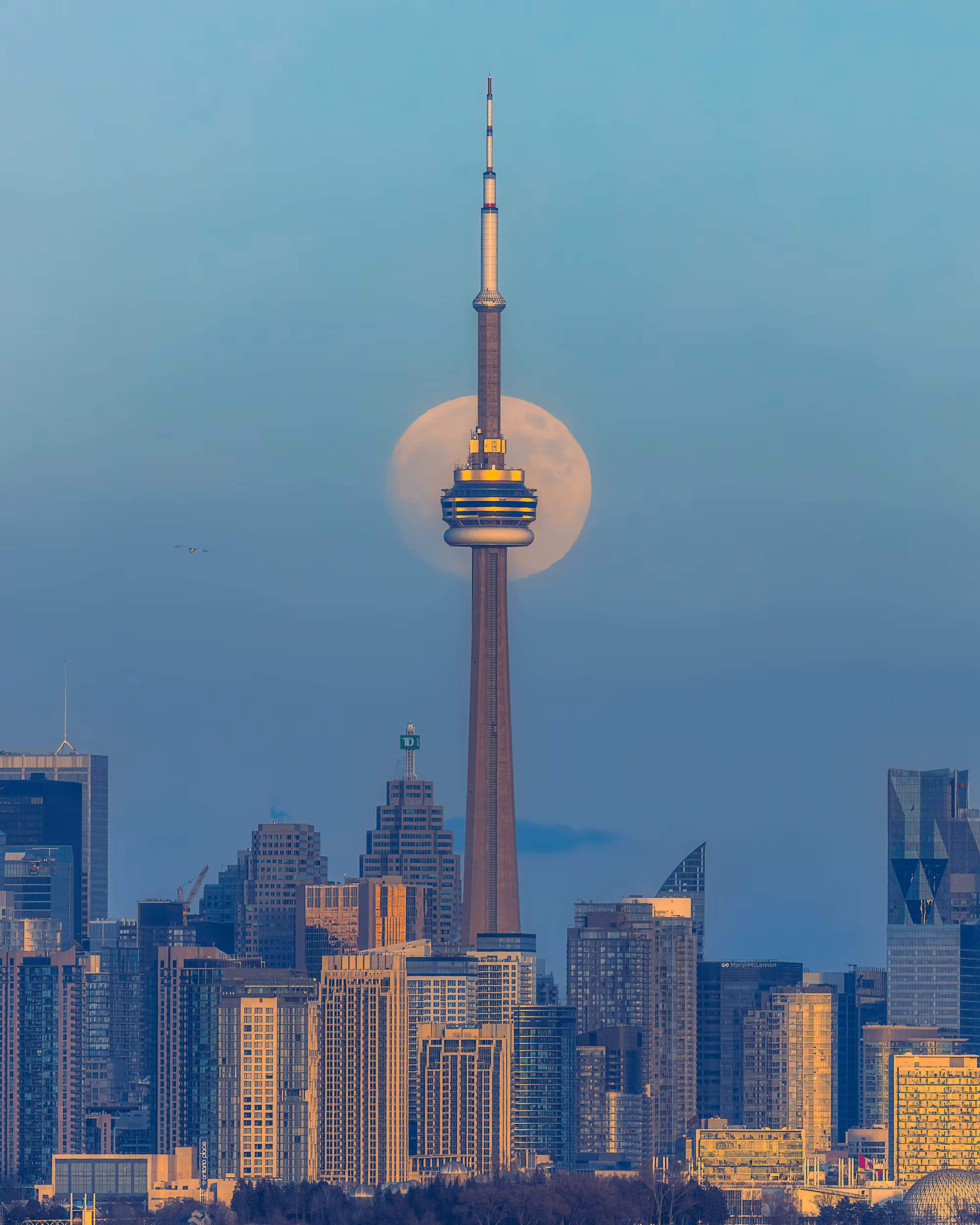 Mega Moonlight