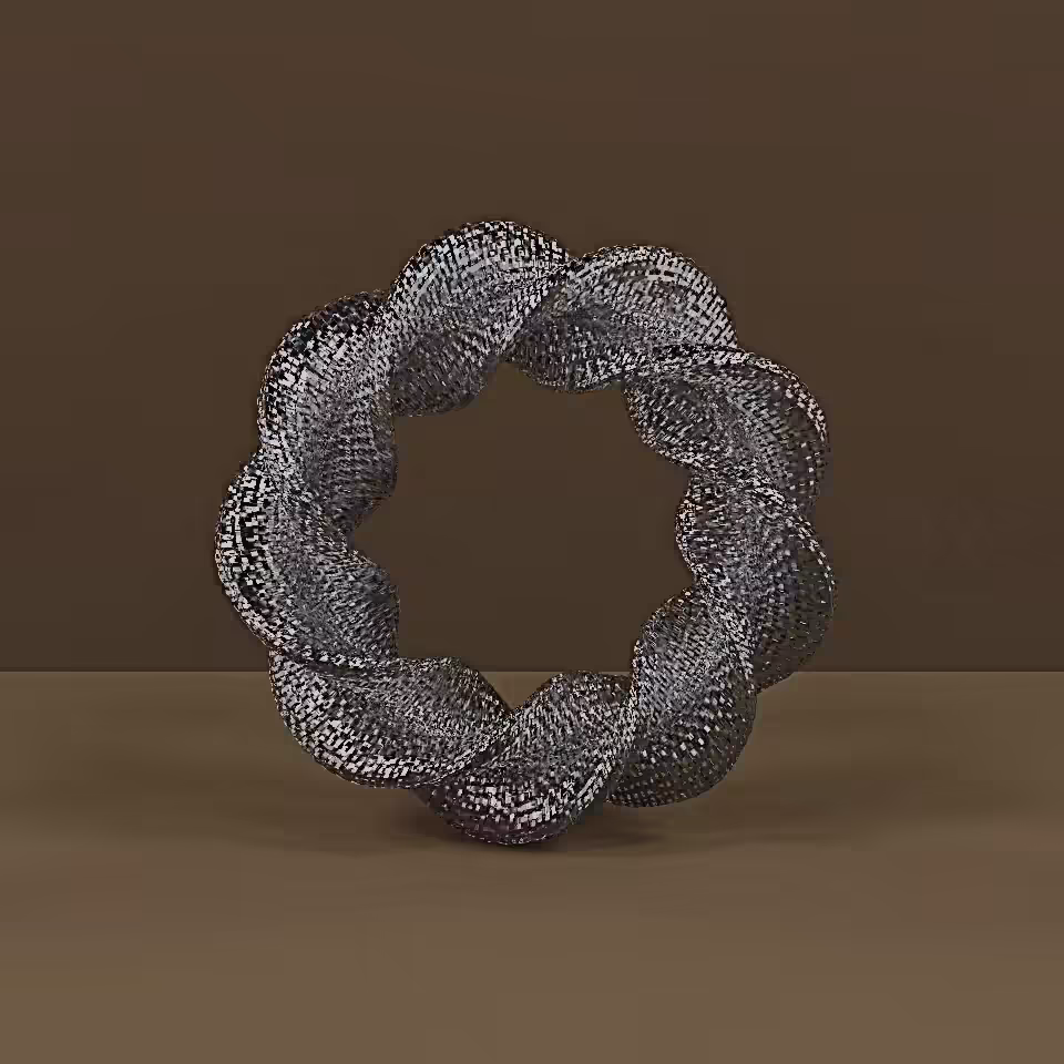 Twisted Torus