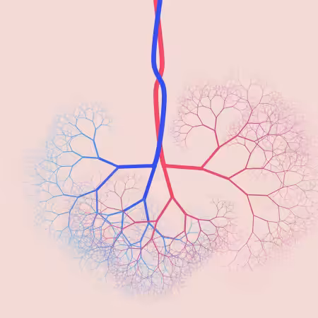 capillary trees #1