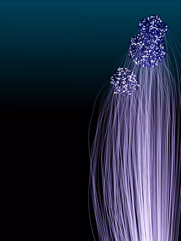 Jellyfish #56