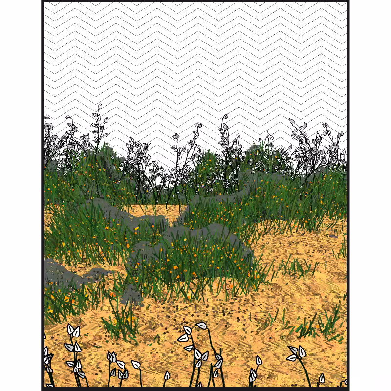 Contours #36
