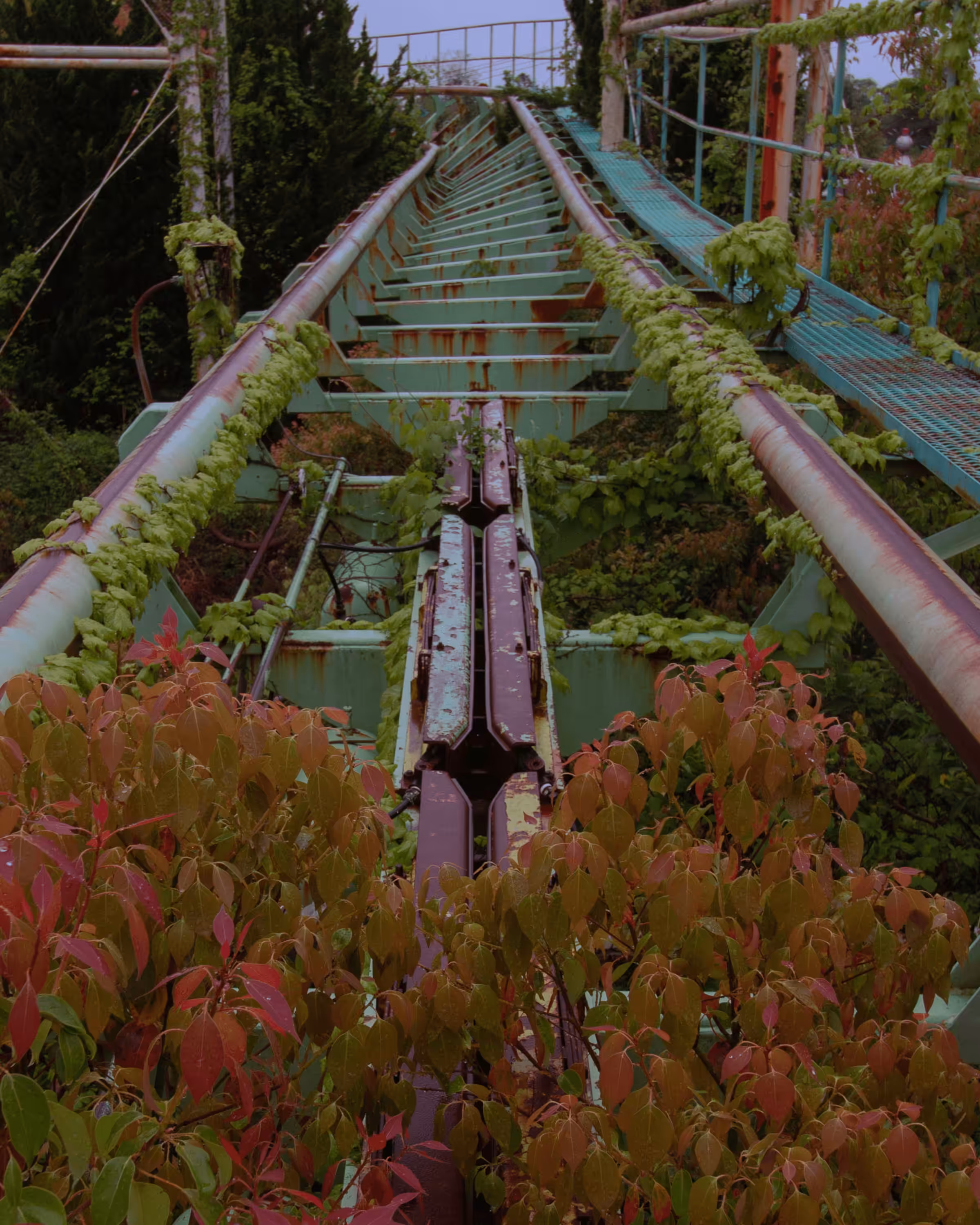 Dreamland #15
