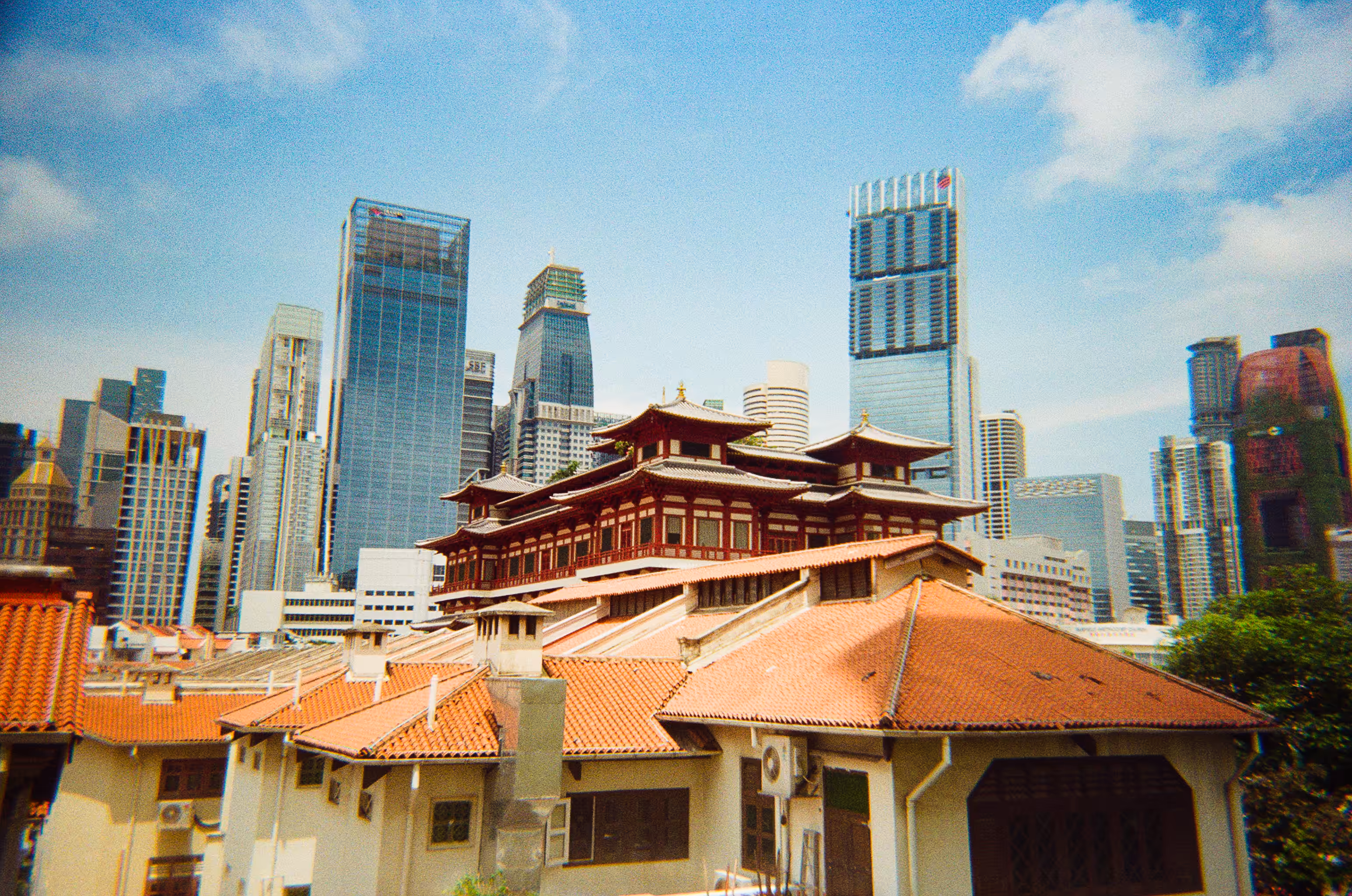 The Roof of Chinatown