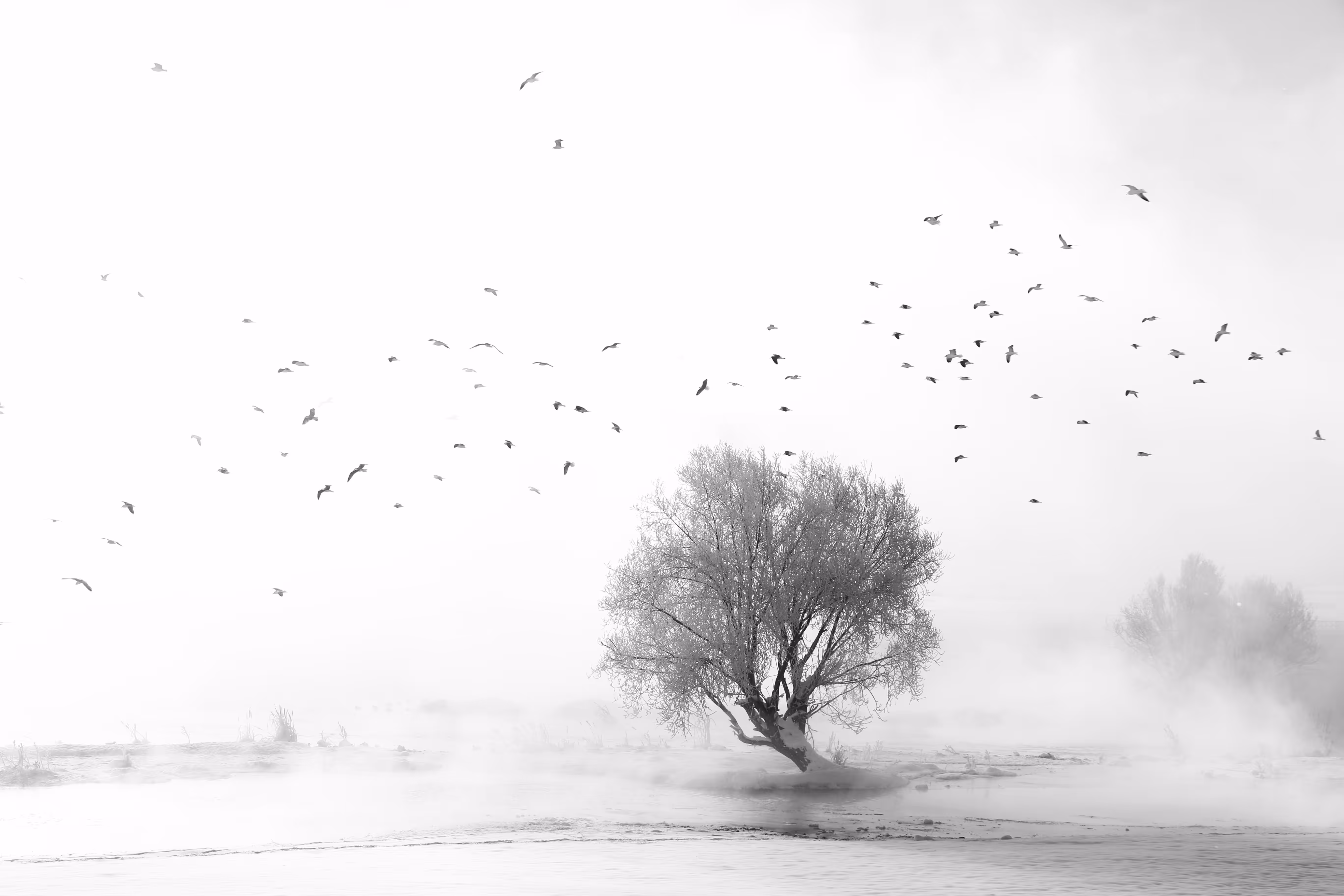 Flying in the fog