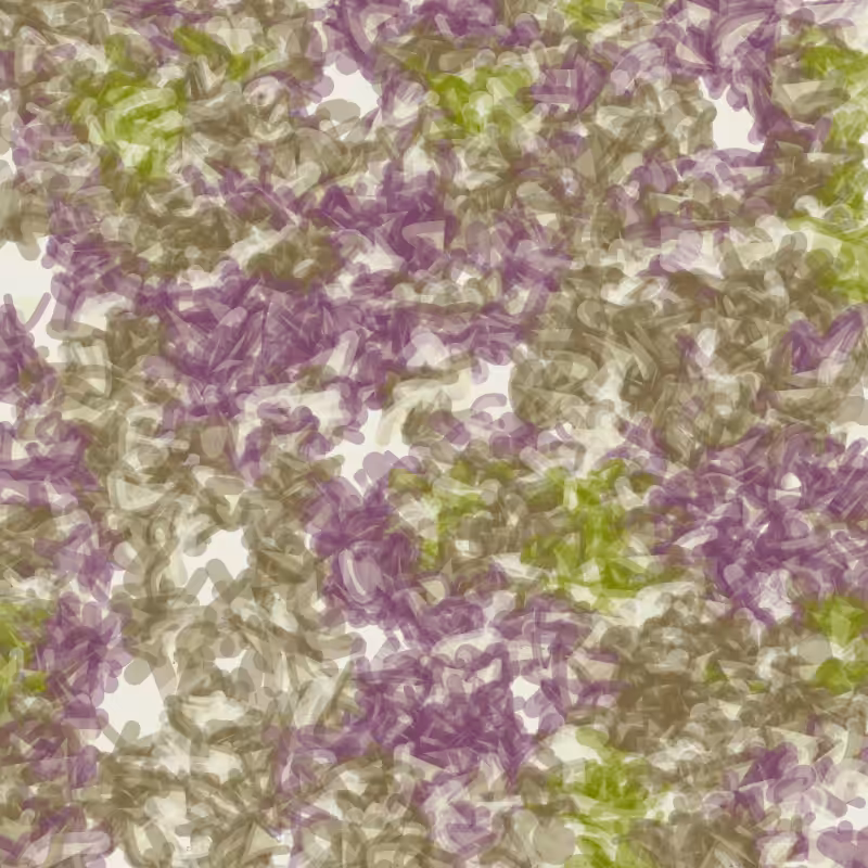 Petri 1500 #777