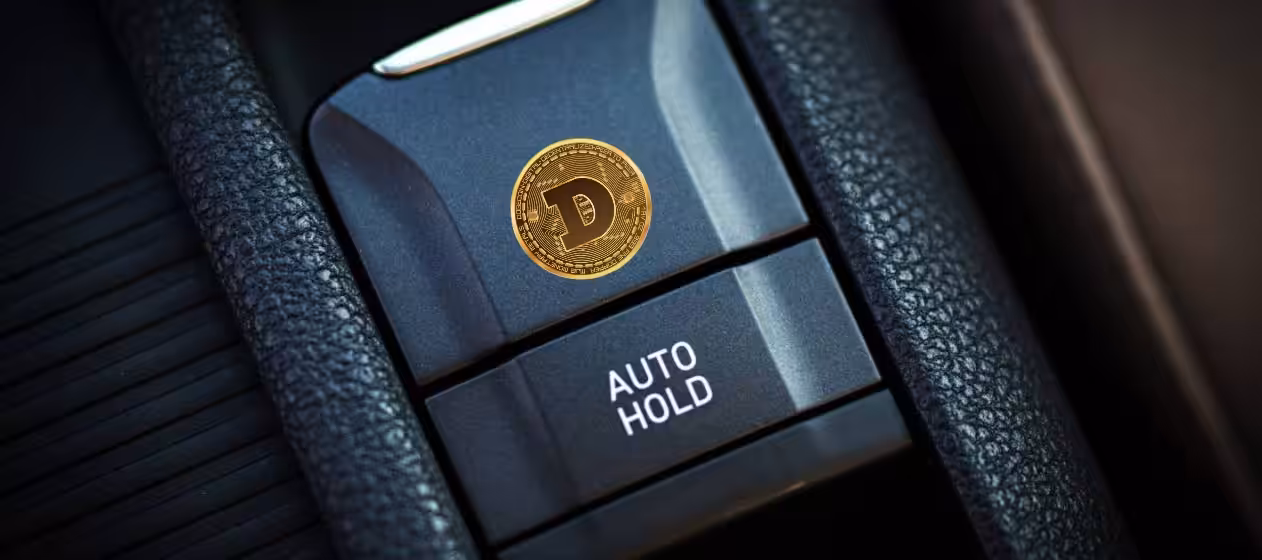 Auto Hold Dogecoin