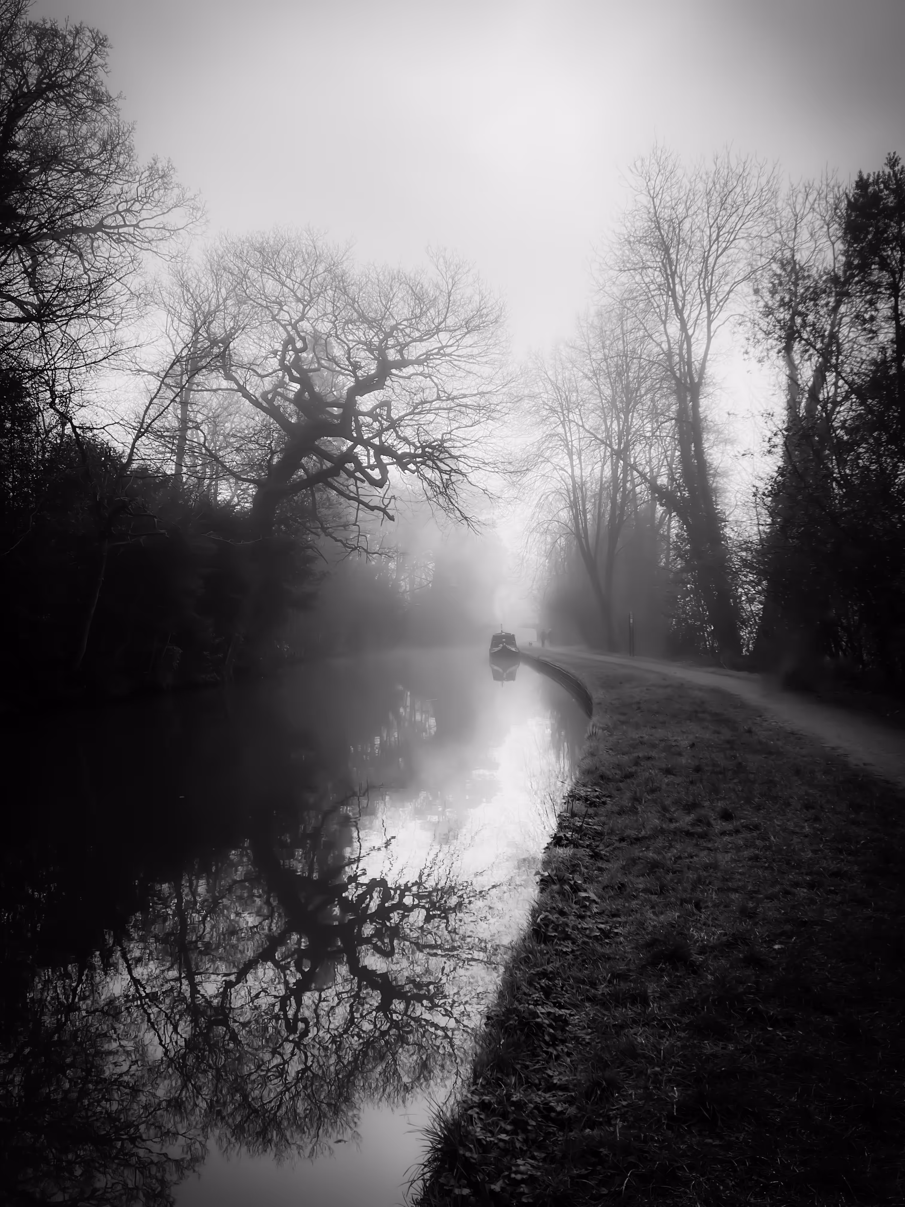 Still we glide