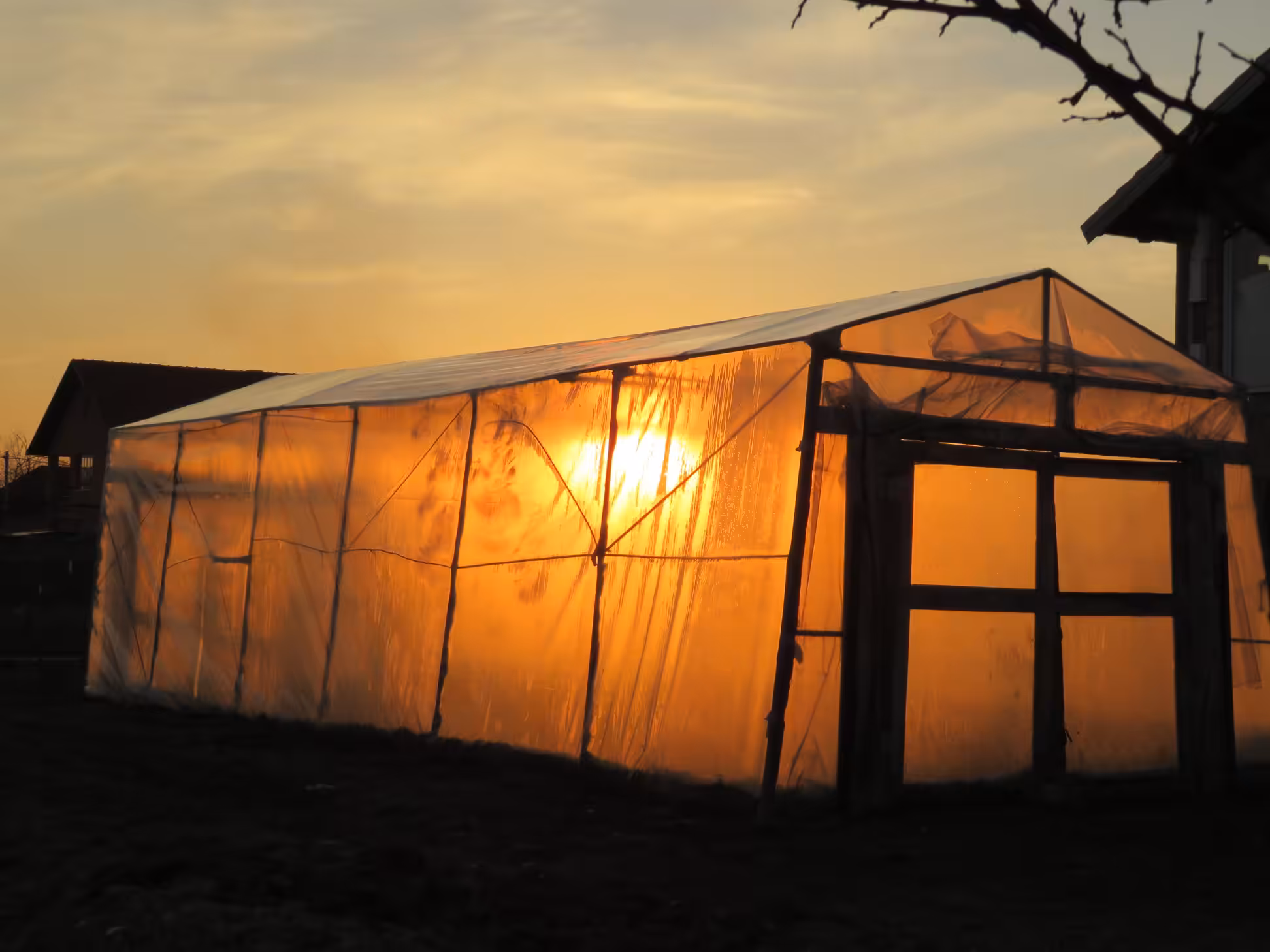 Sunset through a Greenhouse