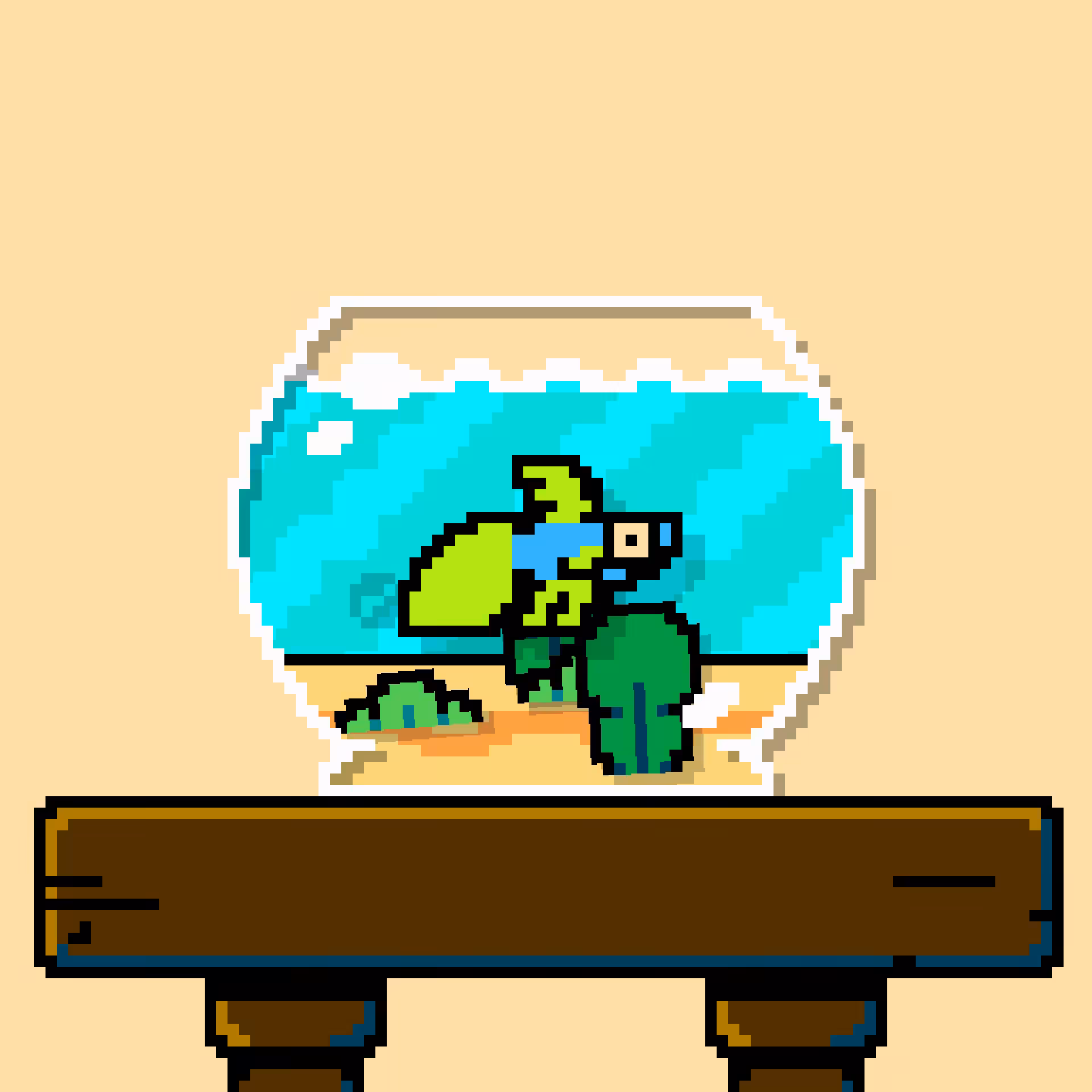 betta fish #297