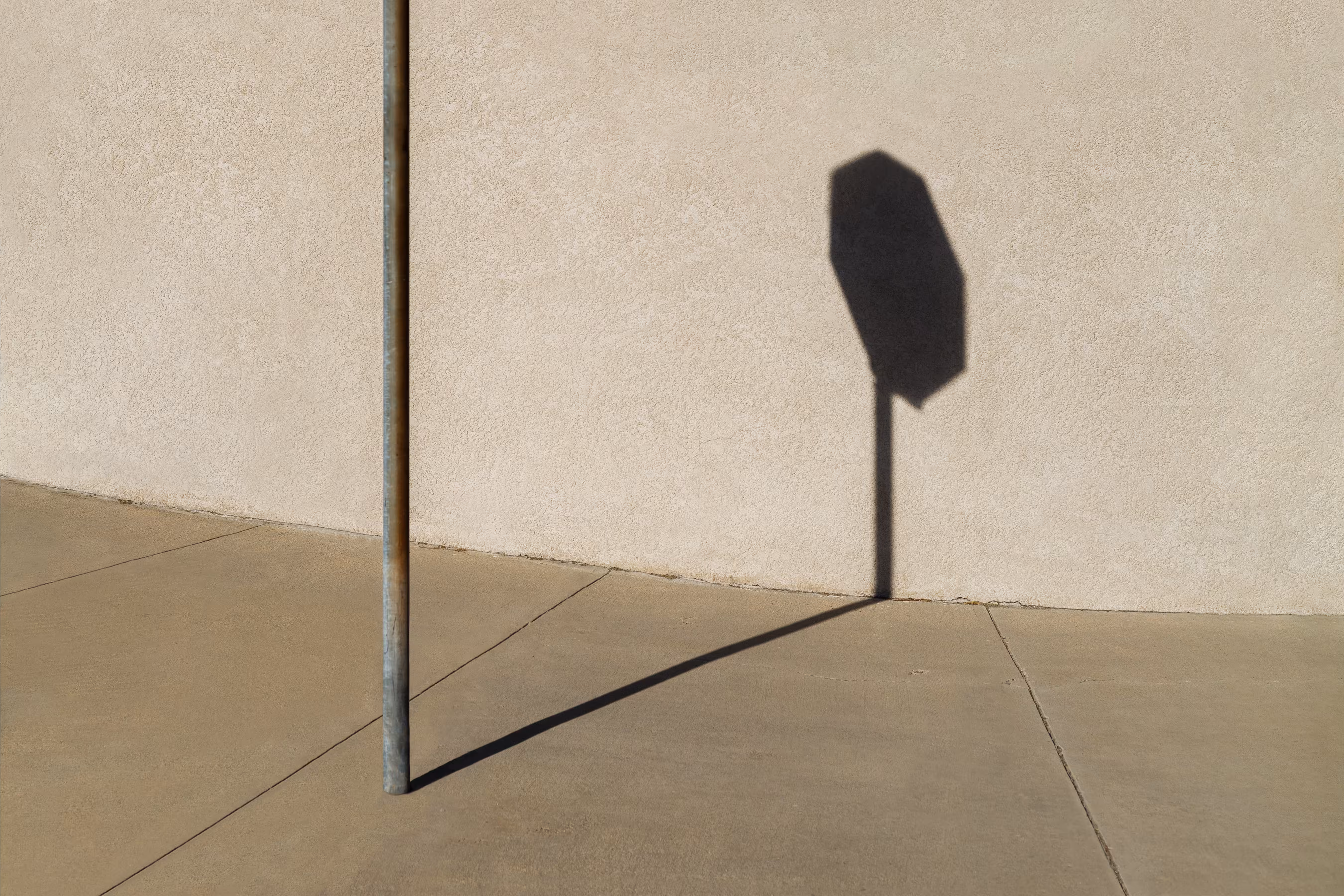 Shadow Self