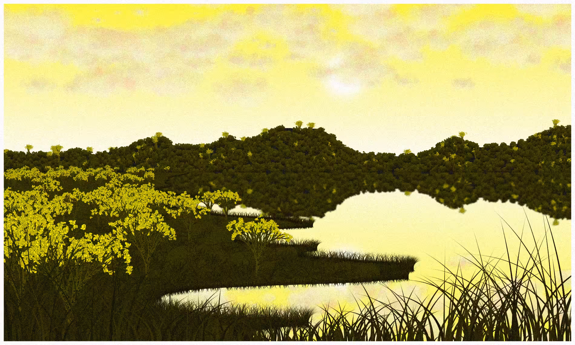 Reflected #50