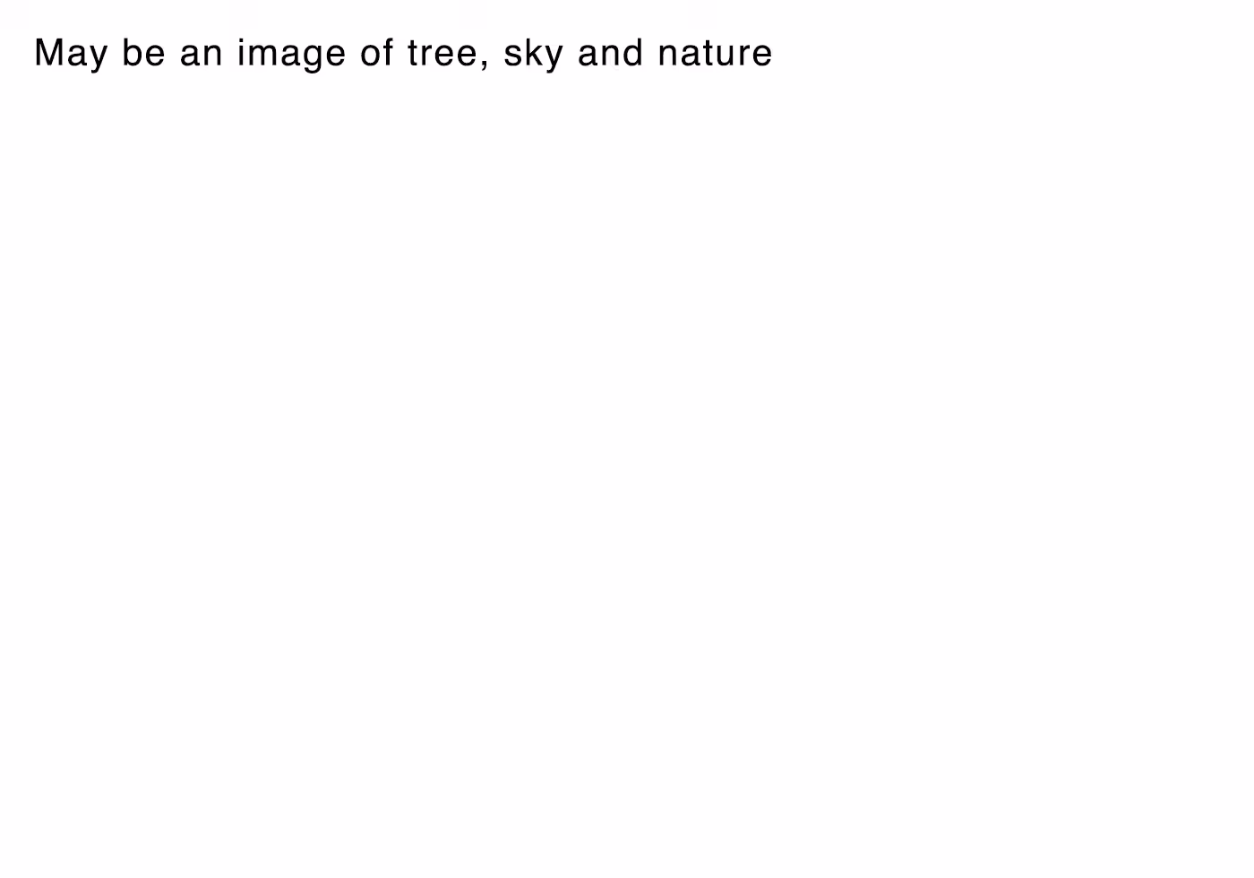 May be an image of tree, sky and nature