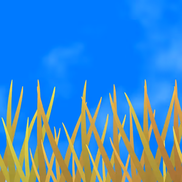 Fields of Ukraine #22