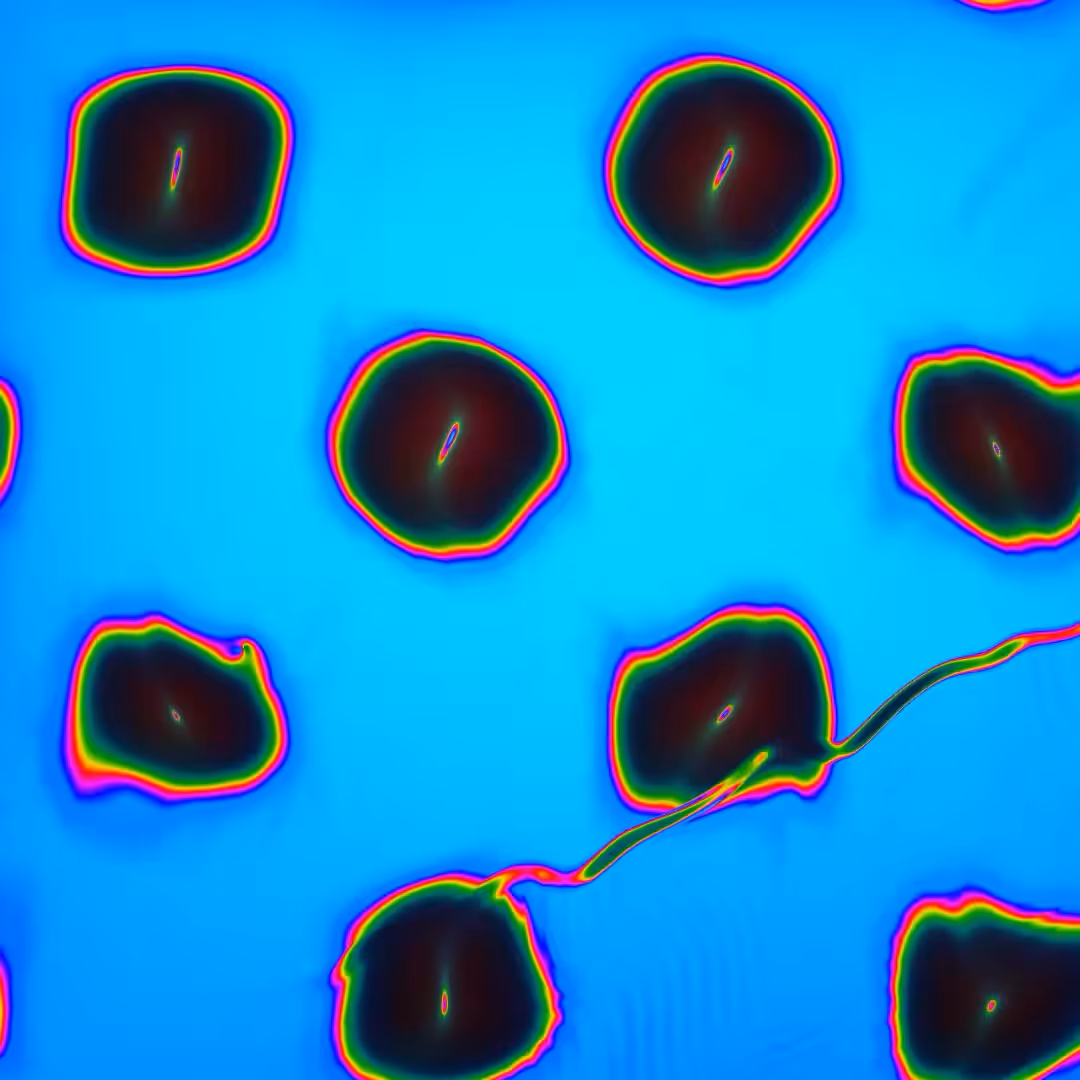 CELLS #3