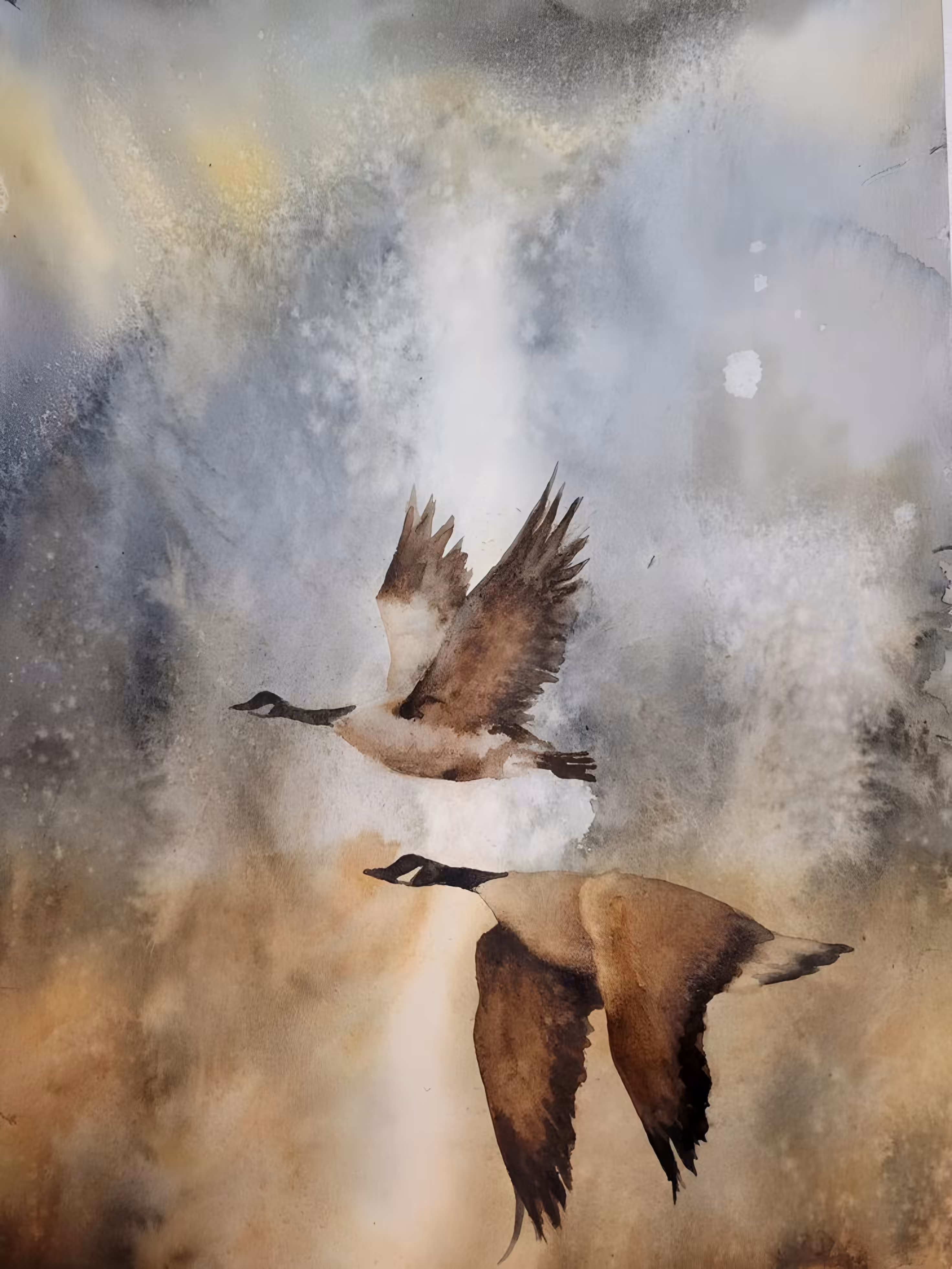Silent Flight