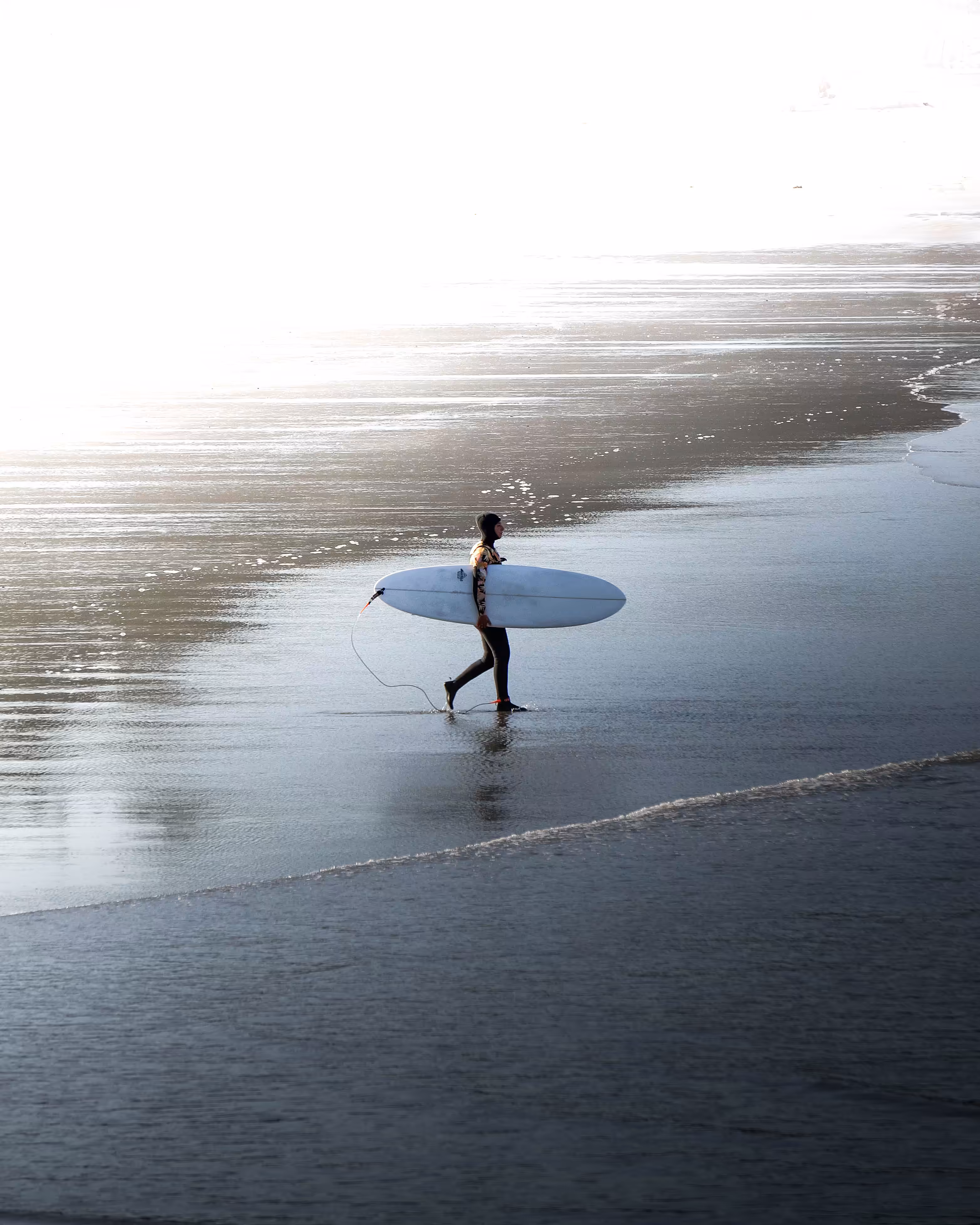 Surf's Up