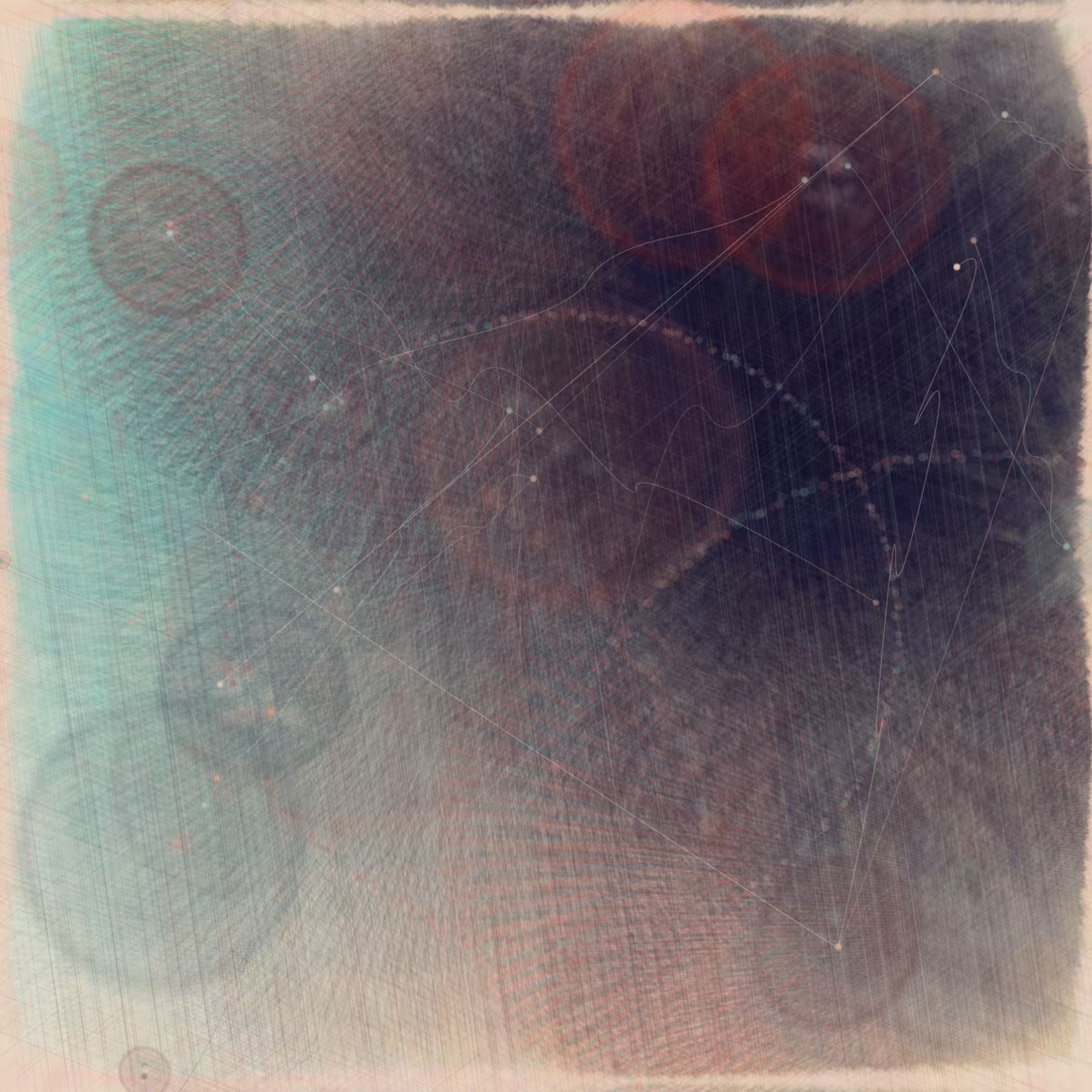 Reticulum