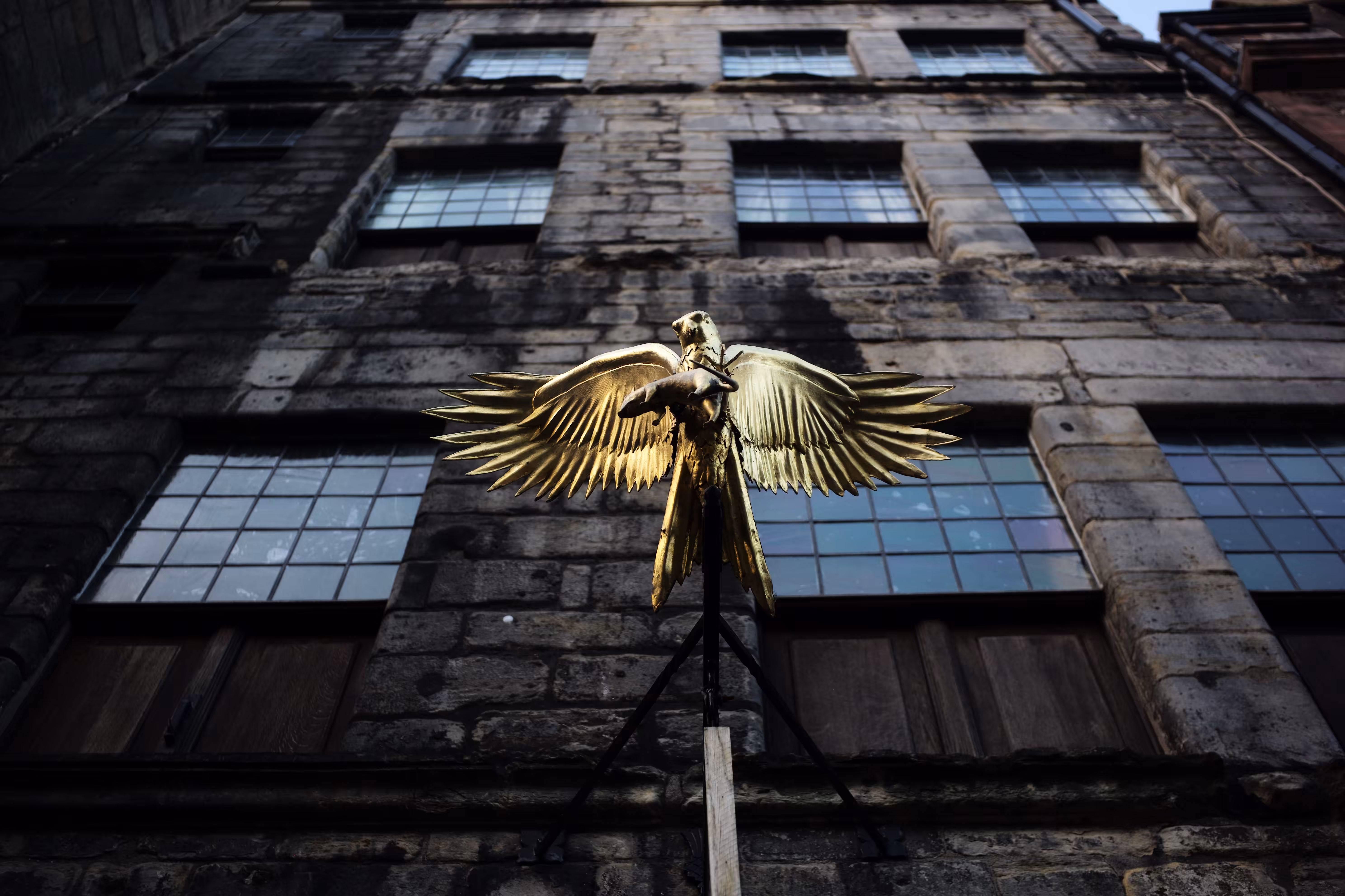 GOLDEN EAGLE