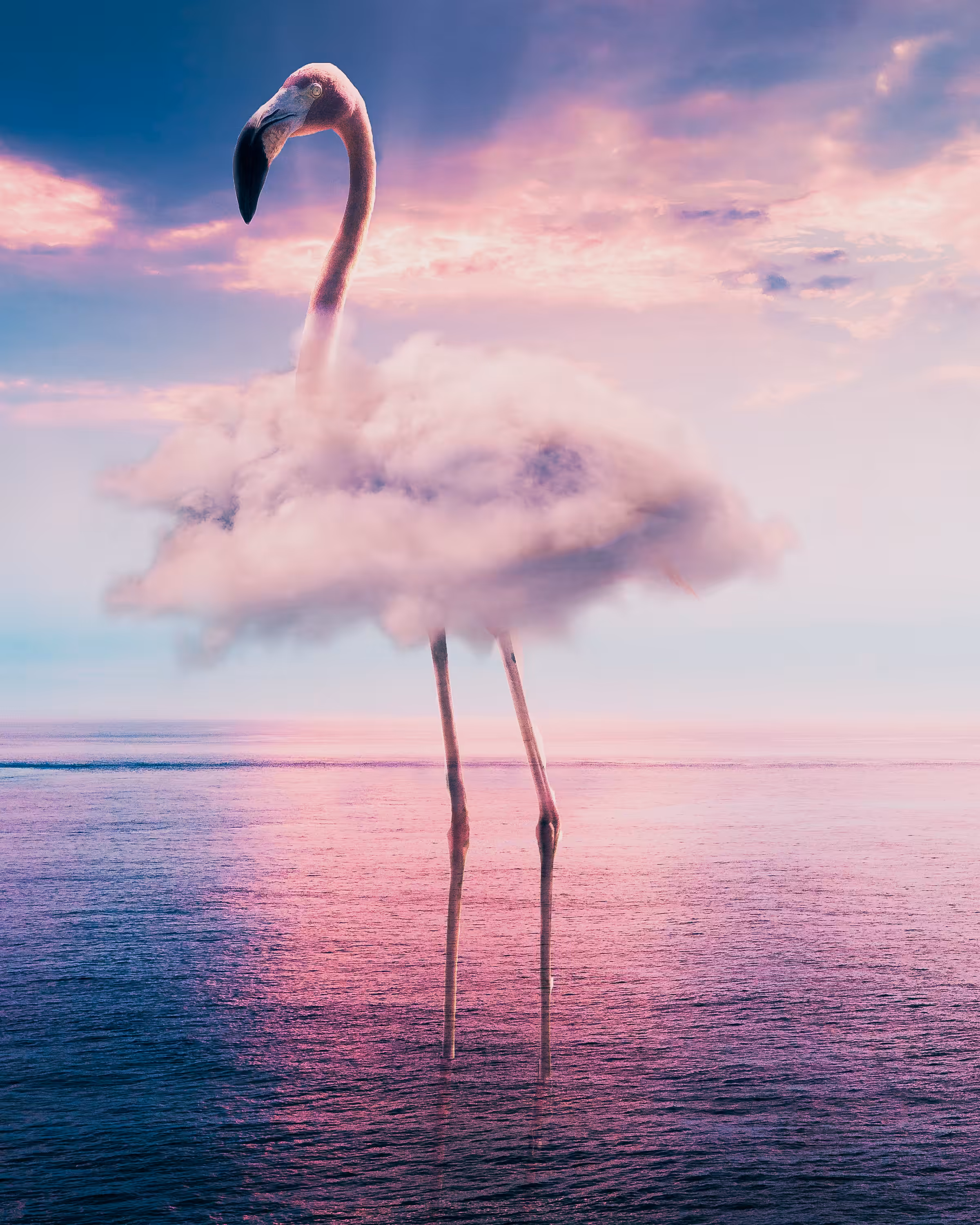 dreamy life scene: the shining flamingo