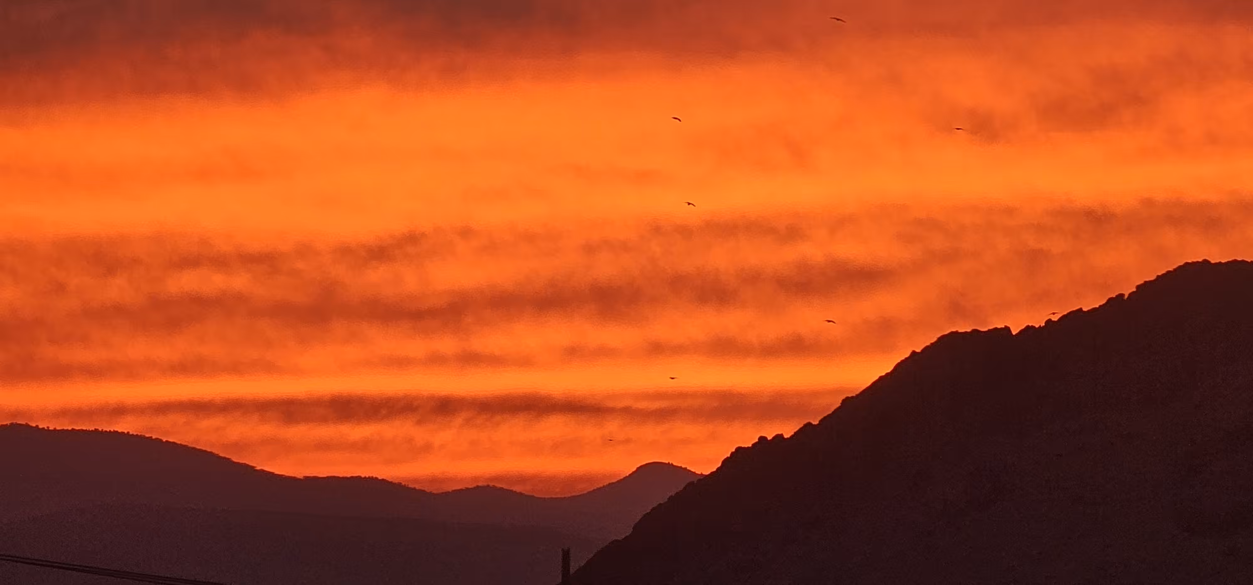 Sunset Symphony 