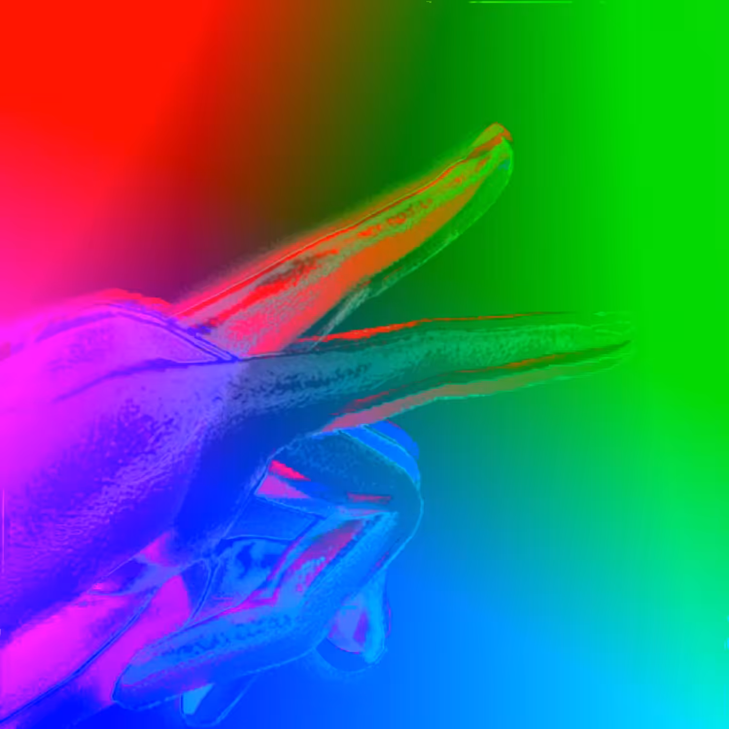 S.O_T- P🌈 'RAINBOWACA'  edit