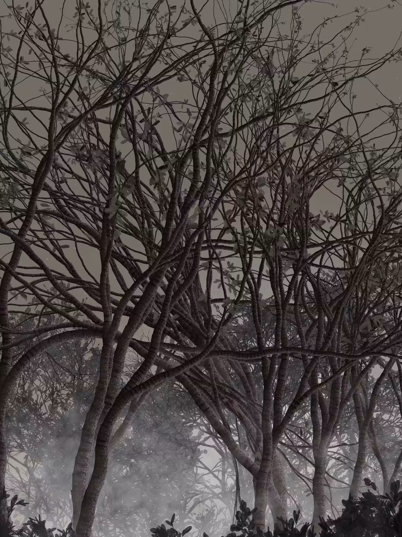 Morning Mist #69