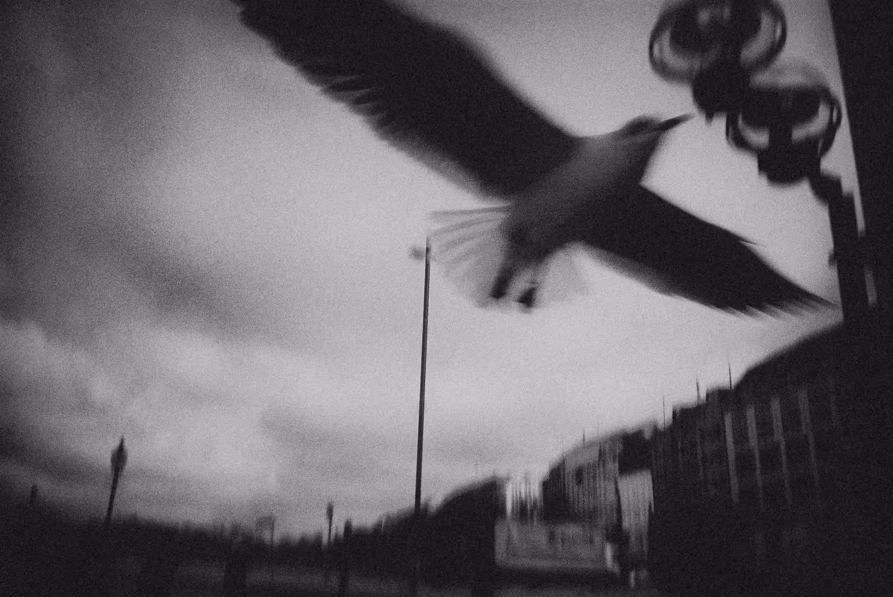Hamburg, 2011