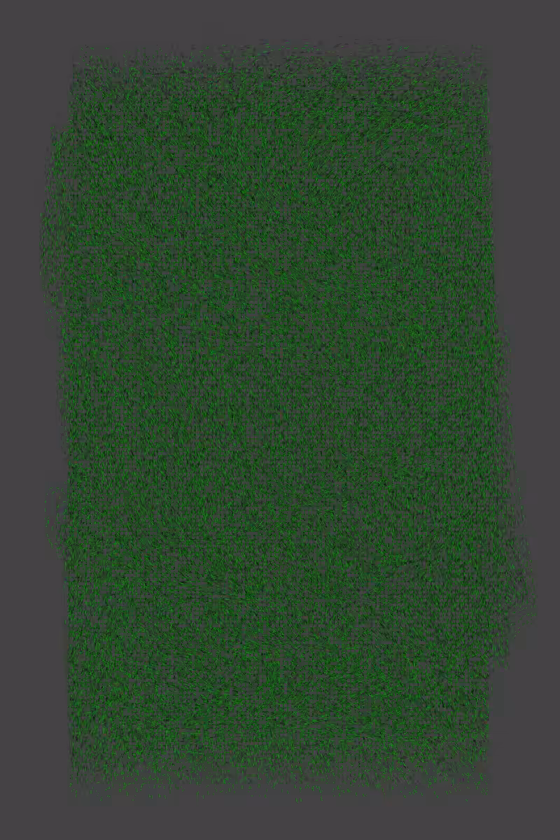 Grass #19