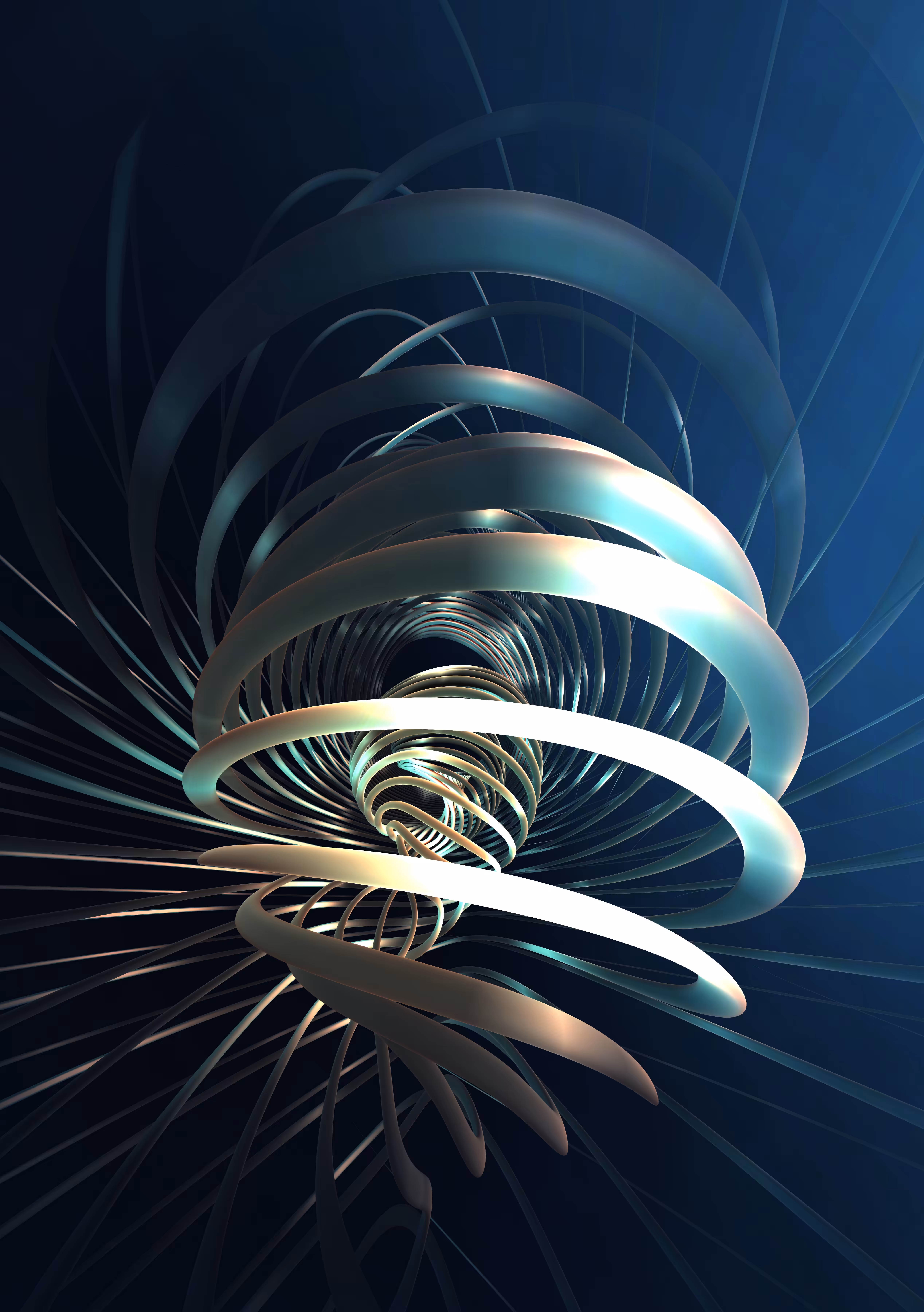 Ammonite-27